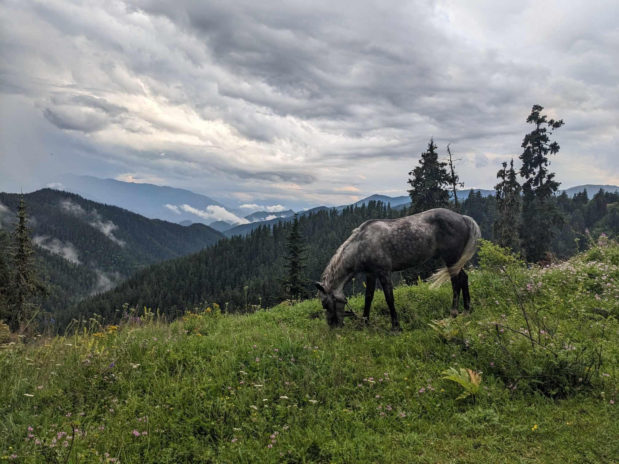 Borjomi: Private Horseback Riding Tour to Kakhisi Lake 3