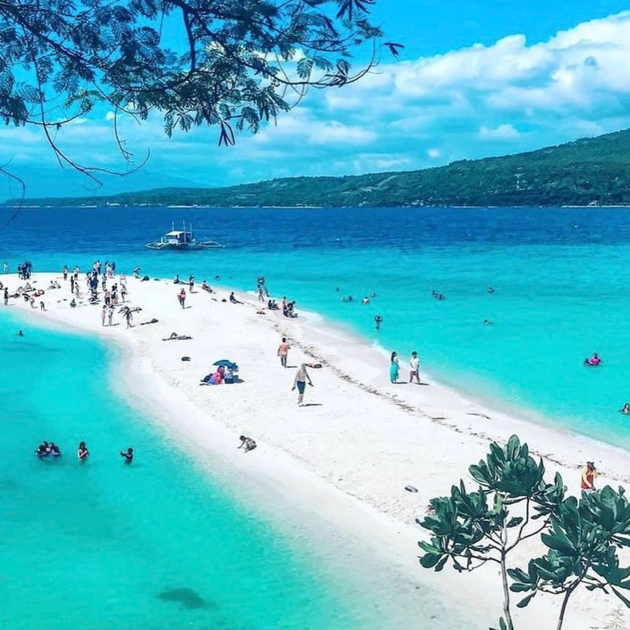 Cebu: 16-Hour Small-Group South Cebu Tour to Oslob & Simala