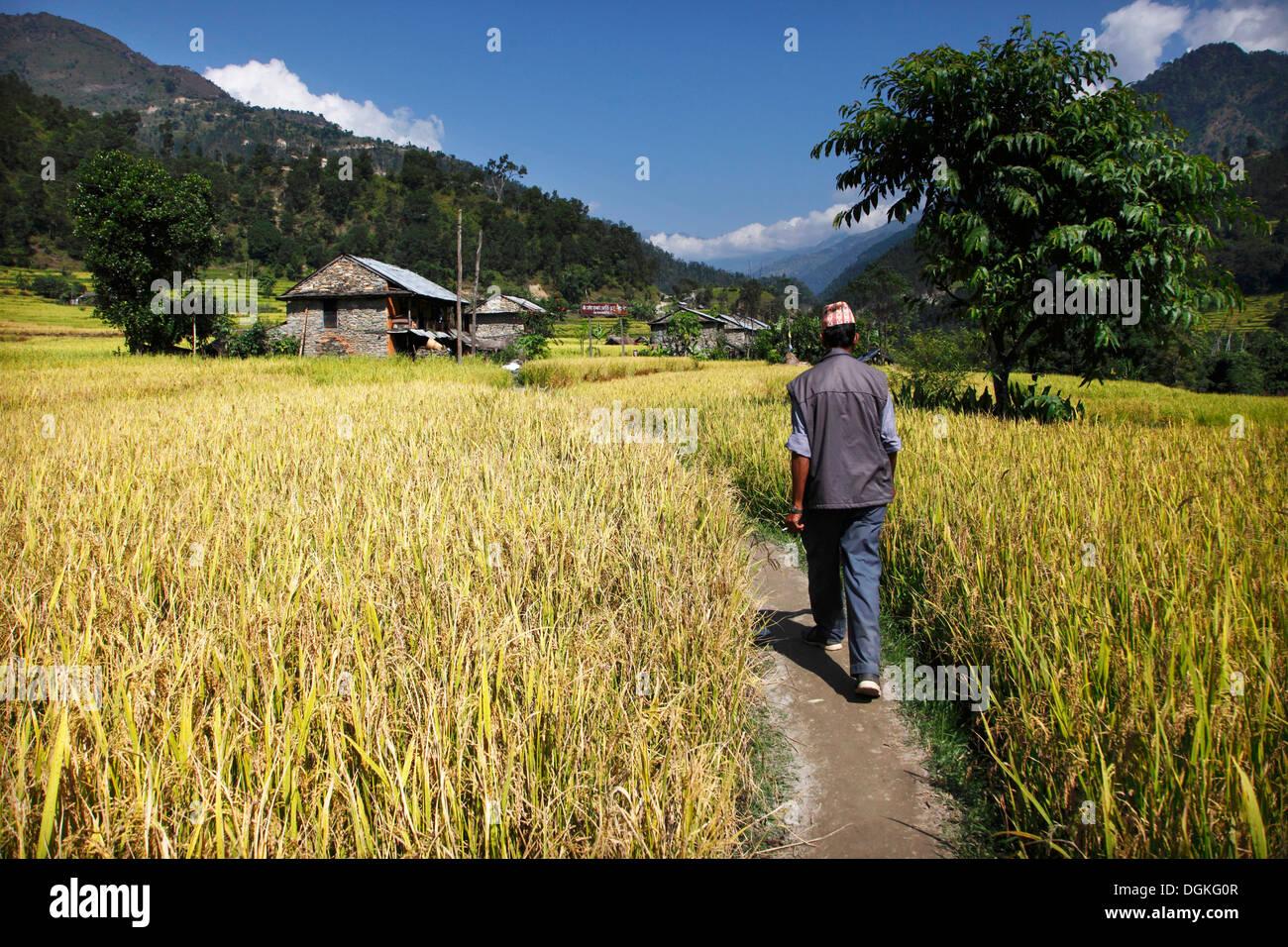 Nepali Farmer for a Day Experience with Lunch 2