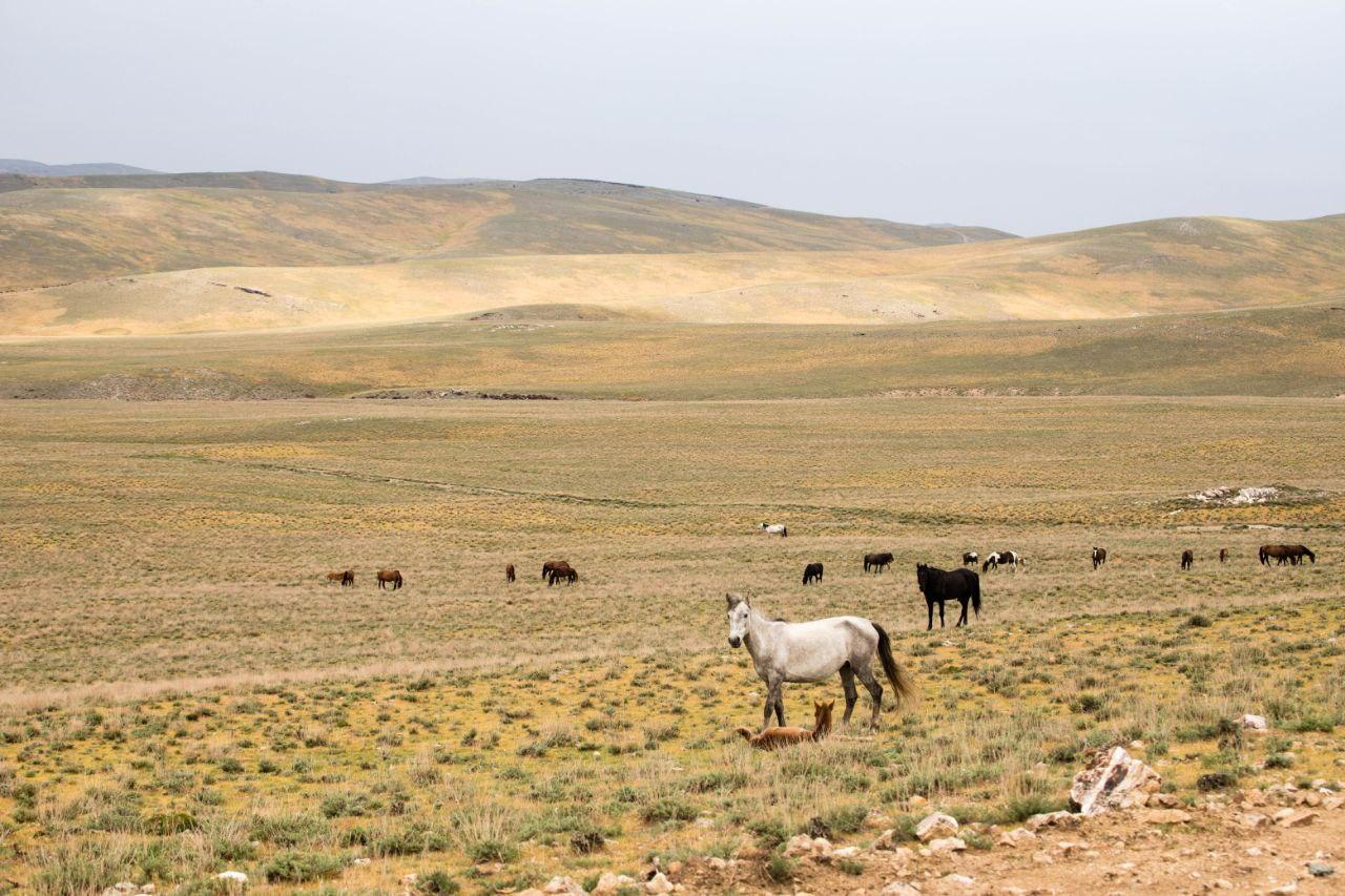 Bukhara/Samarkand: 2-Day Guided Nurata Mount & Desert Tour 3