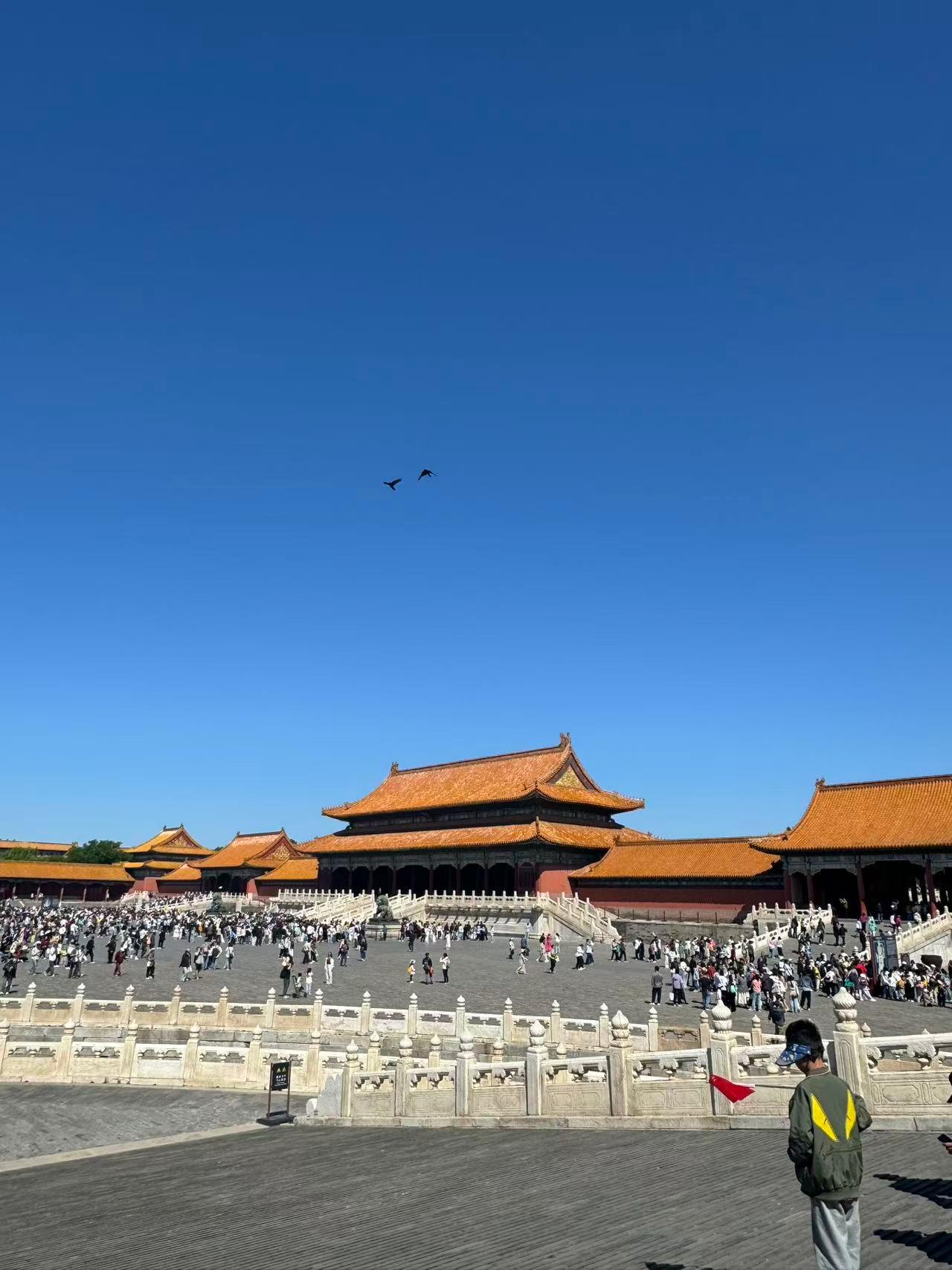 Beijing: Forbidden City & Treasure House Guided Tour 3