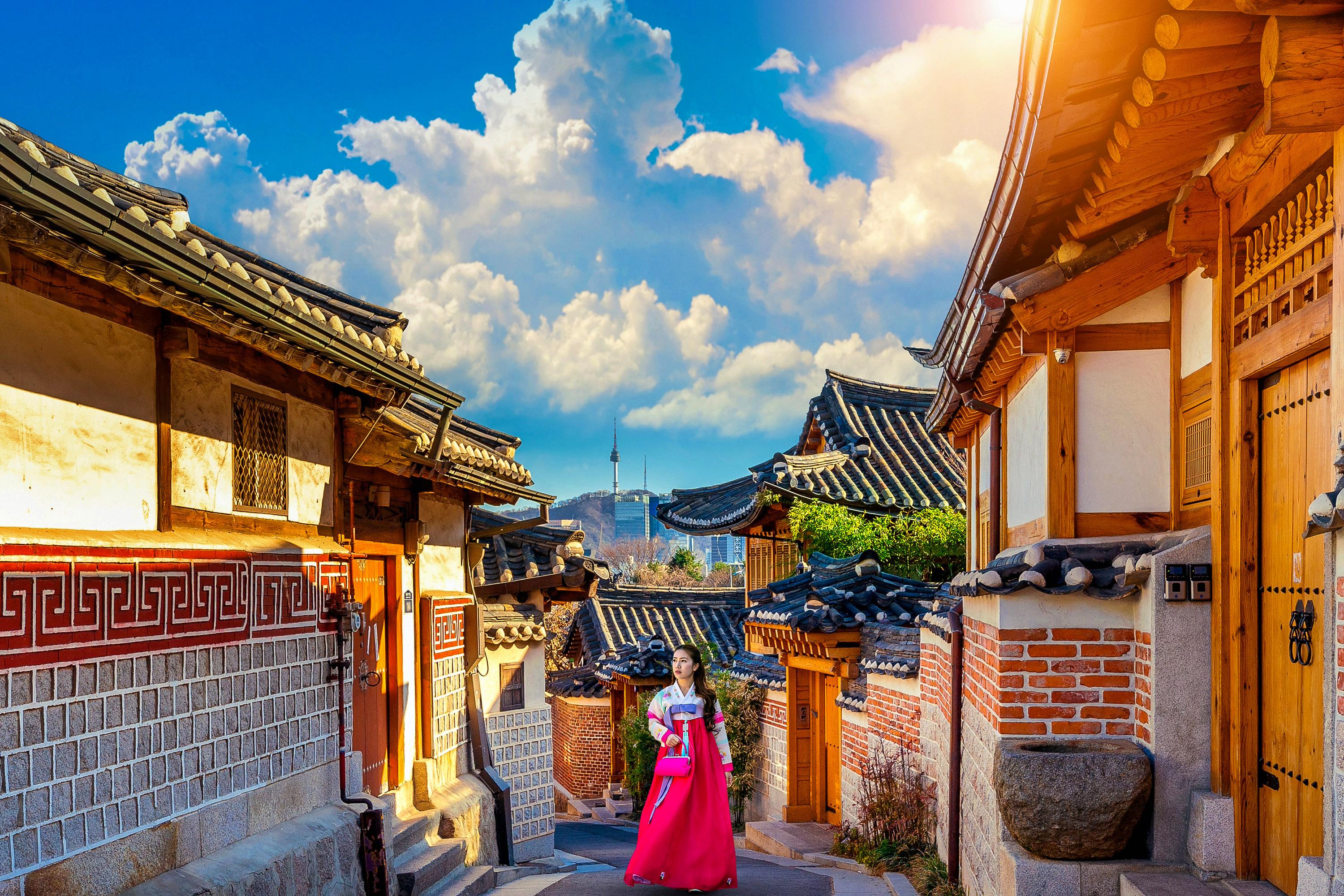 Seoul: Gyeongbokgung, Hanok Village, N Seoul Tower Day Tour 2
