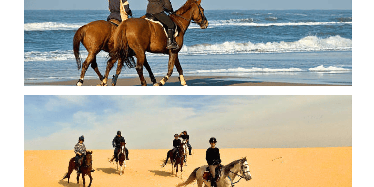 Ride the Spirit of Arabia: A Desert Horse‑Riding Experience