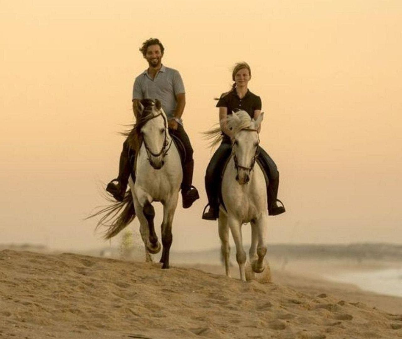 Guided Horse Riding Tour in Qatar: Ride Through Heritage 2