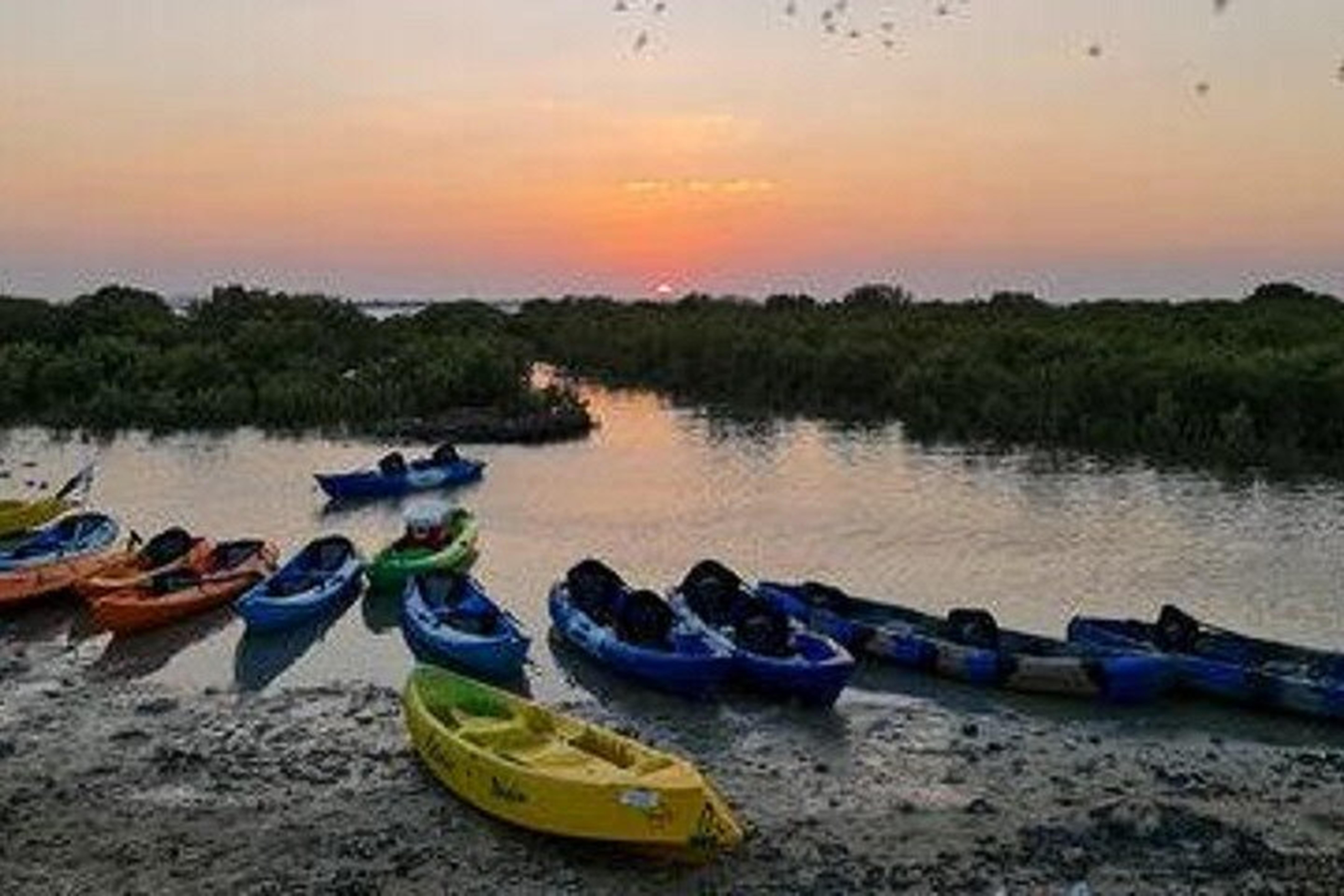 Mangrove 1-hour Kayaking in Al Thakira Reserve 3