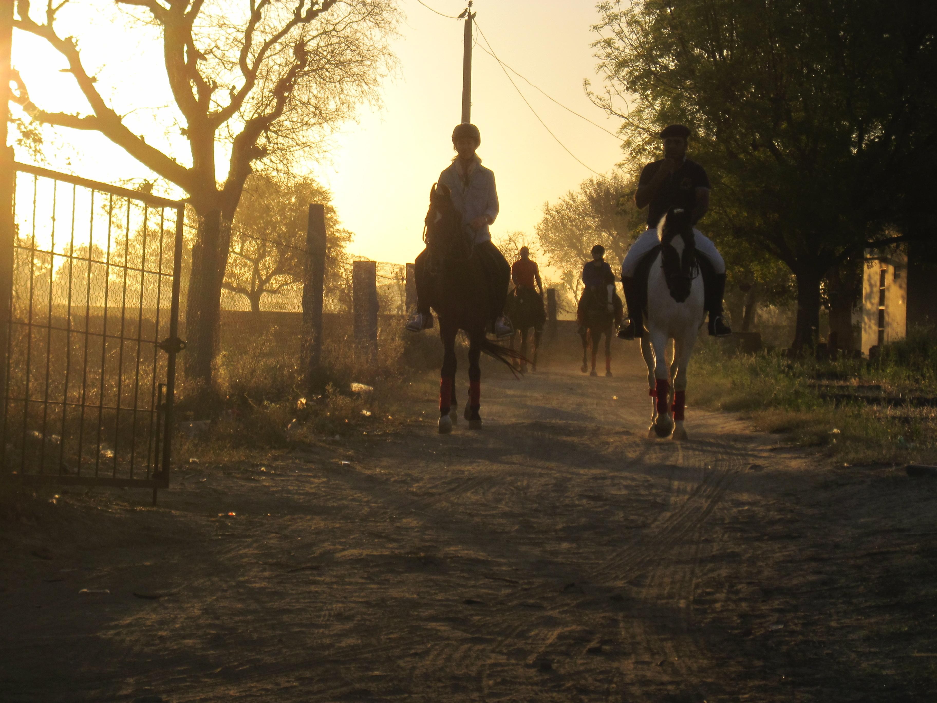 Jaipur Horse Riding Adventure 2
