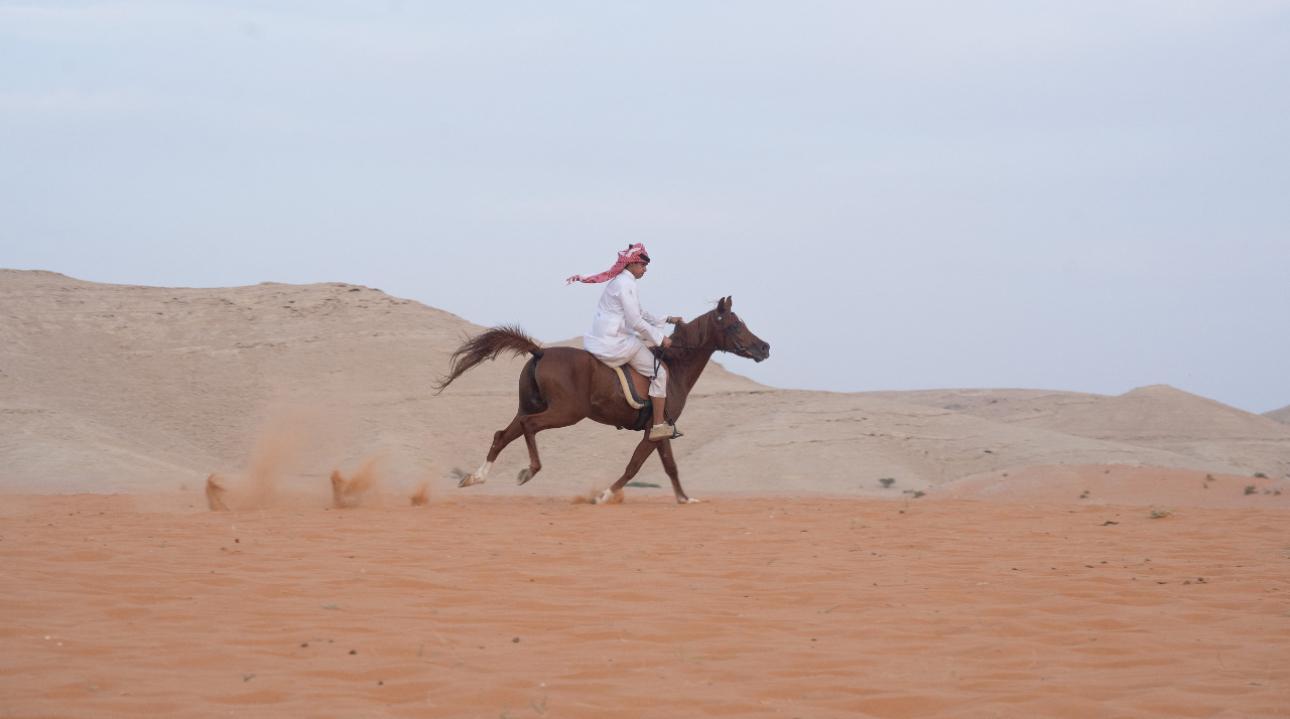 Doha: Desert Horseback Riding Experience 2