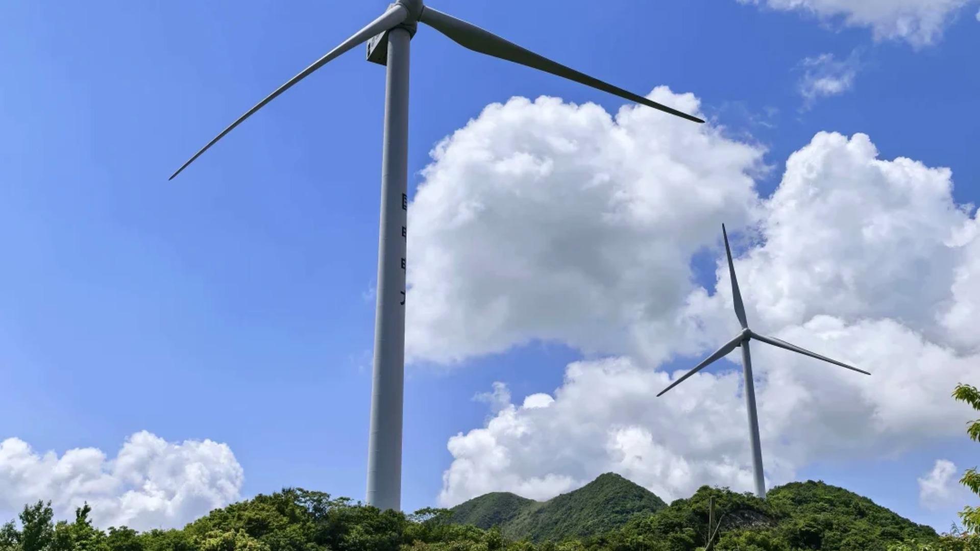 Shanghai: Ningbo Windmill Road & Flower Sea Private Day Trip