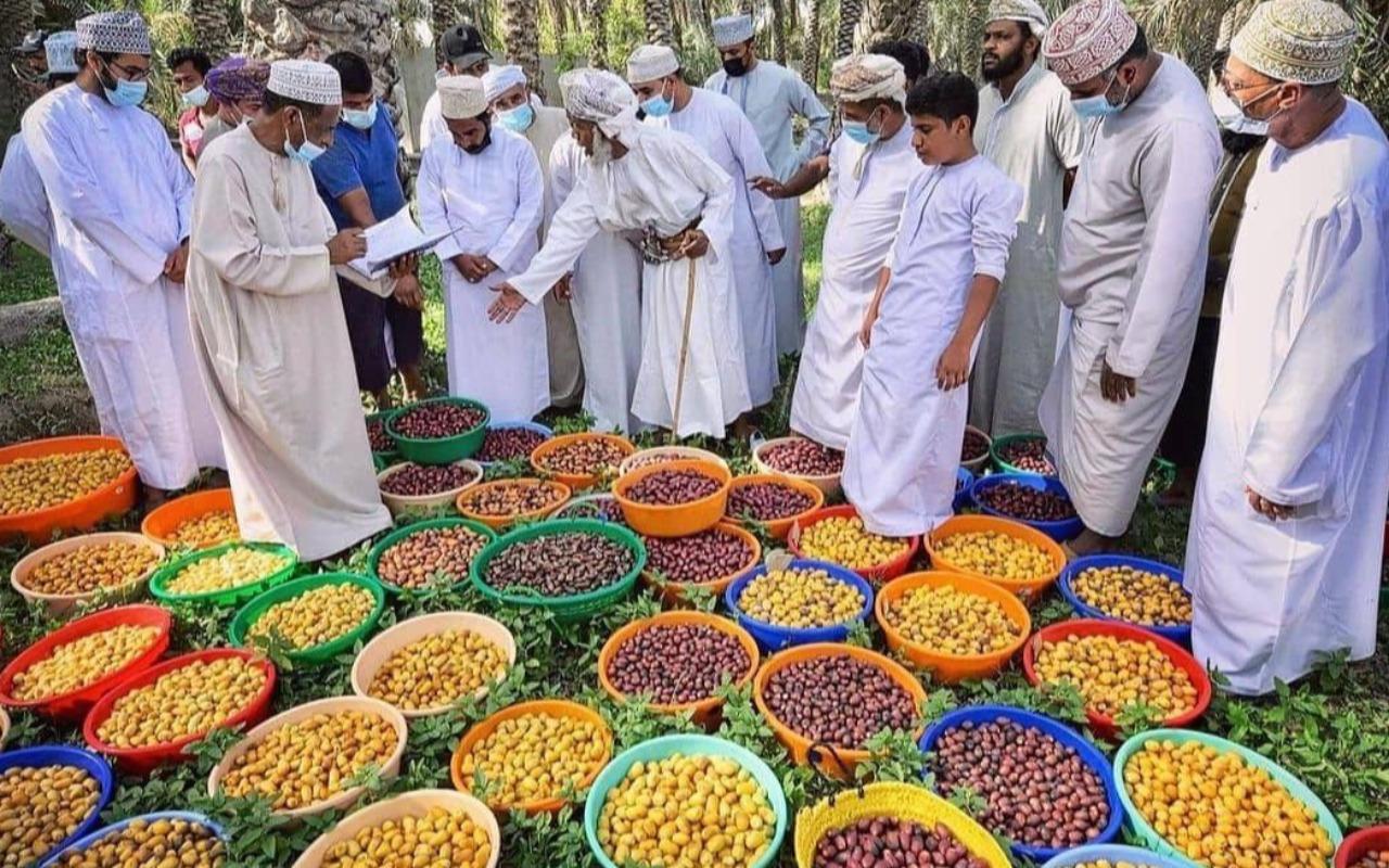 Muscat: Private Fanja Village, Souq, and Wadi Tayeen Tour