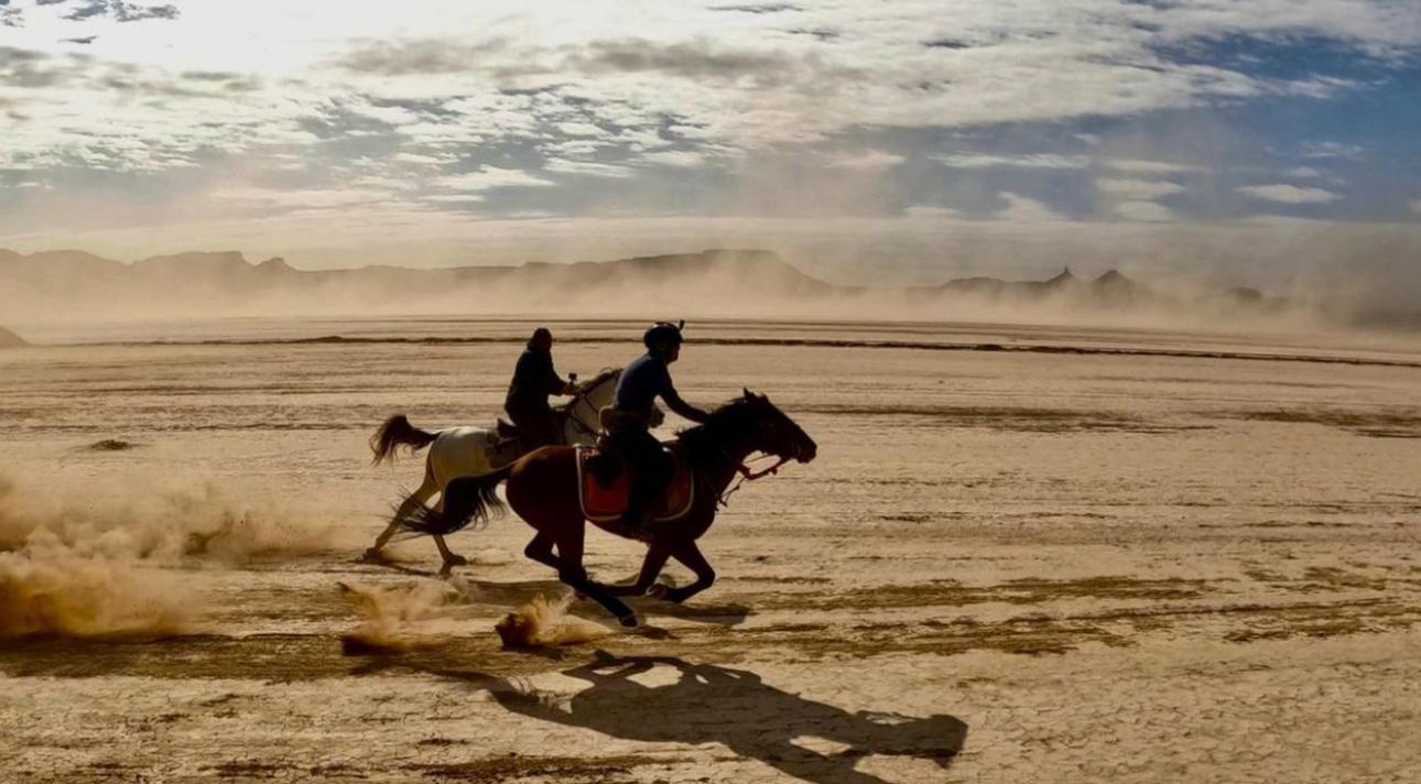Doha: Desert Horseback Riding Experience
