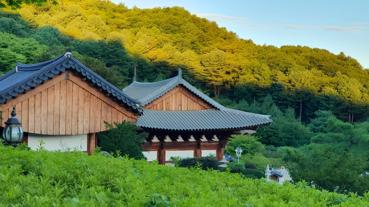 From Seoul: Buddhist Temple Experience & Nami Island Tour 3