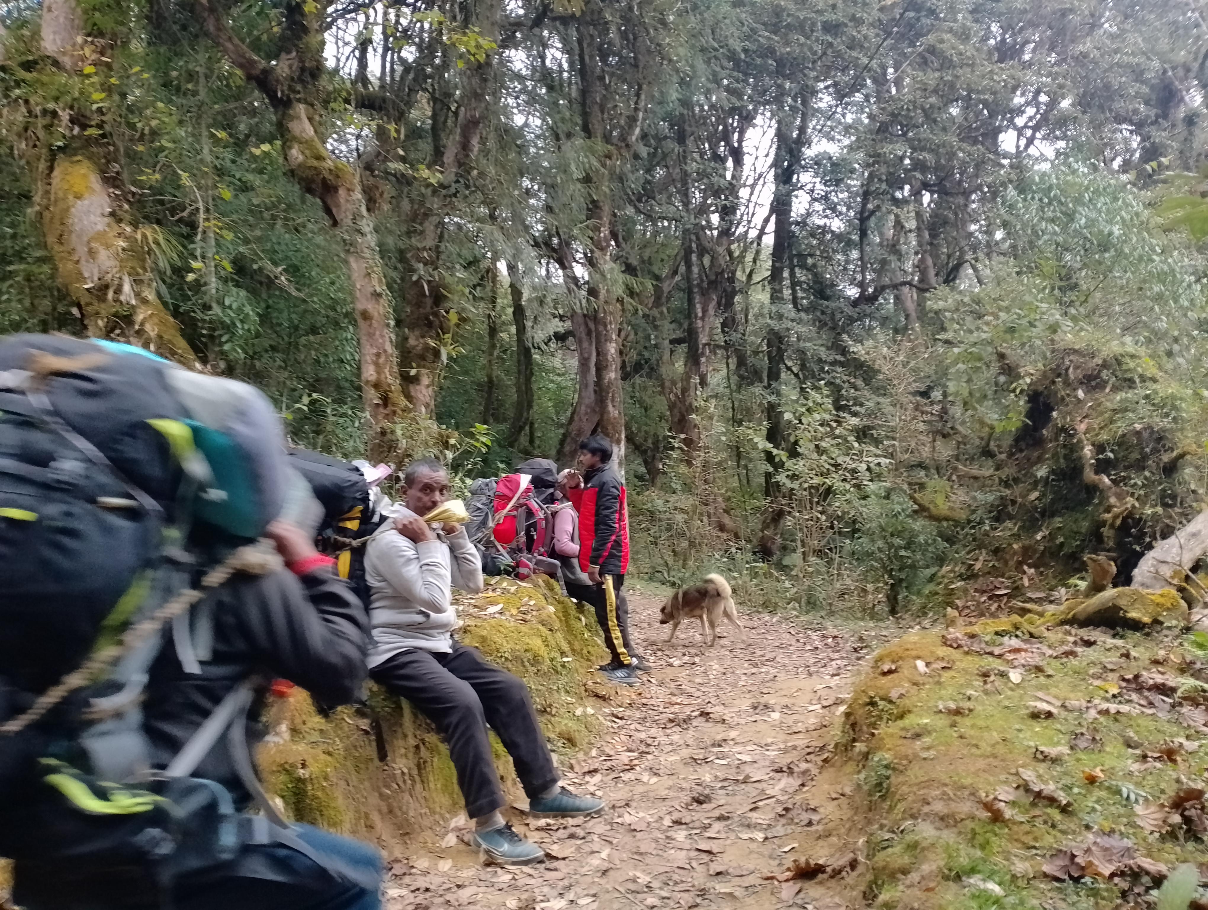 Pokhara: Mulde Hidden Lake, Annapurna Base Camp Adventure 2