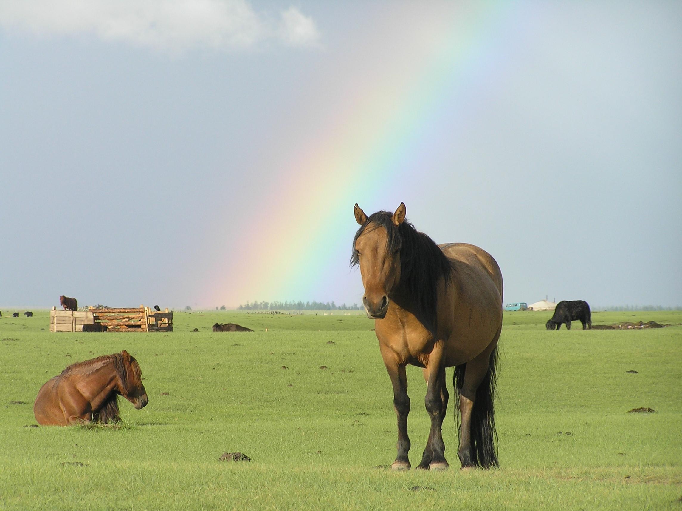 Terelj Day Tour with Lunch, horse riding & More... 2