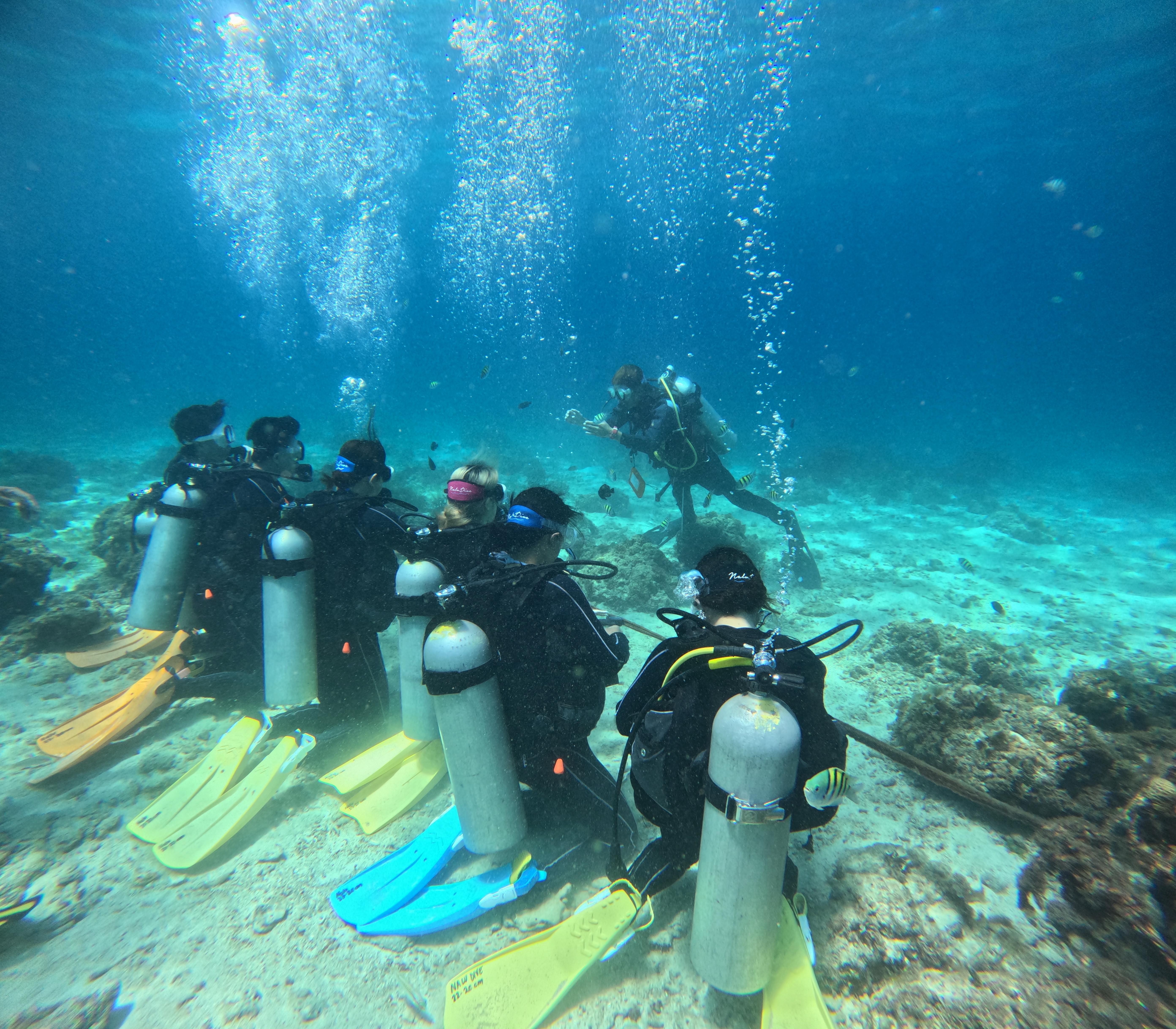 Cebu: PADI Open Water Certification Course 2