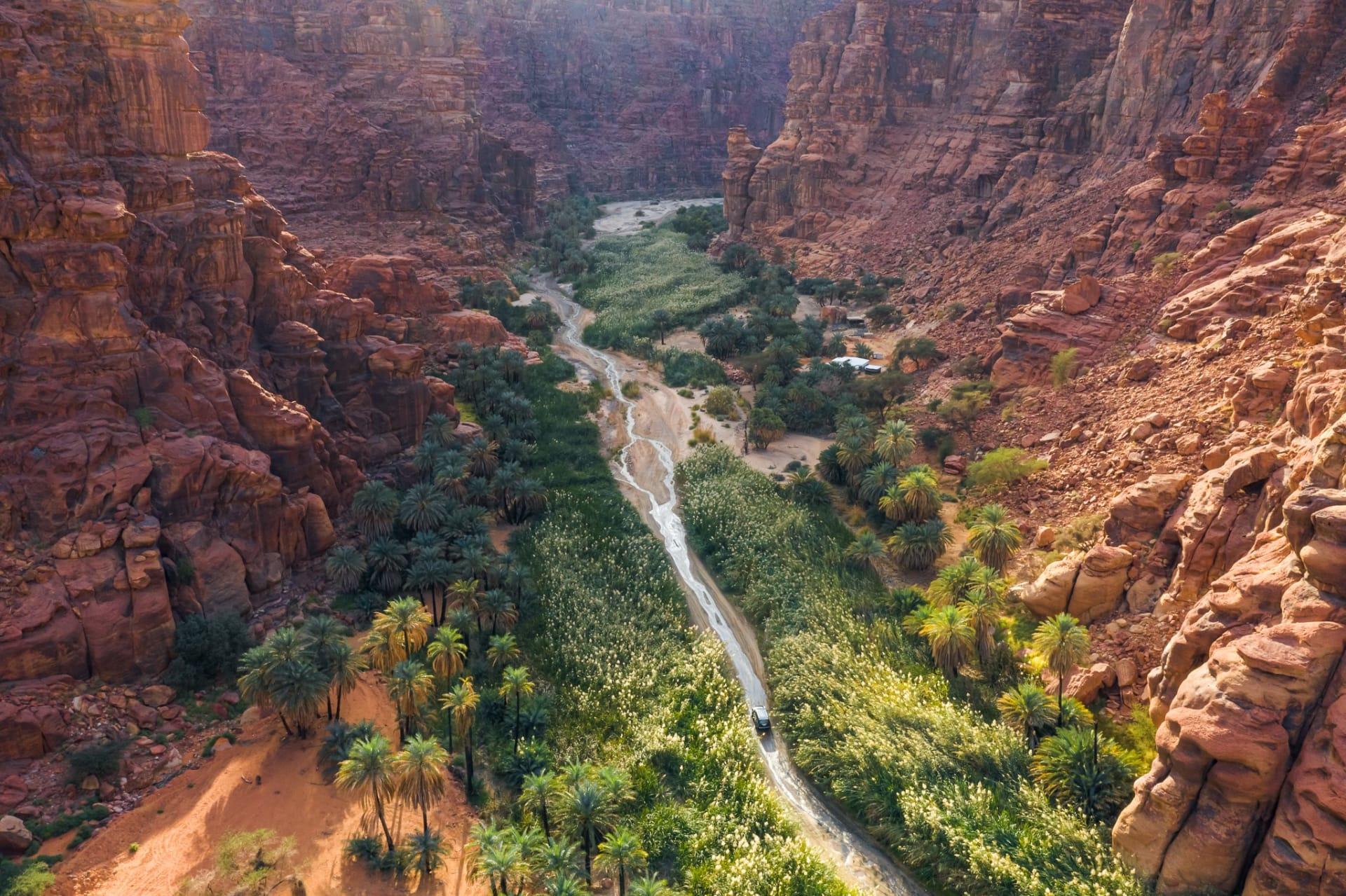 From AlUla: Private Wadi Al Disah 4x4 Canyon Tour