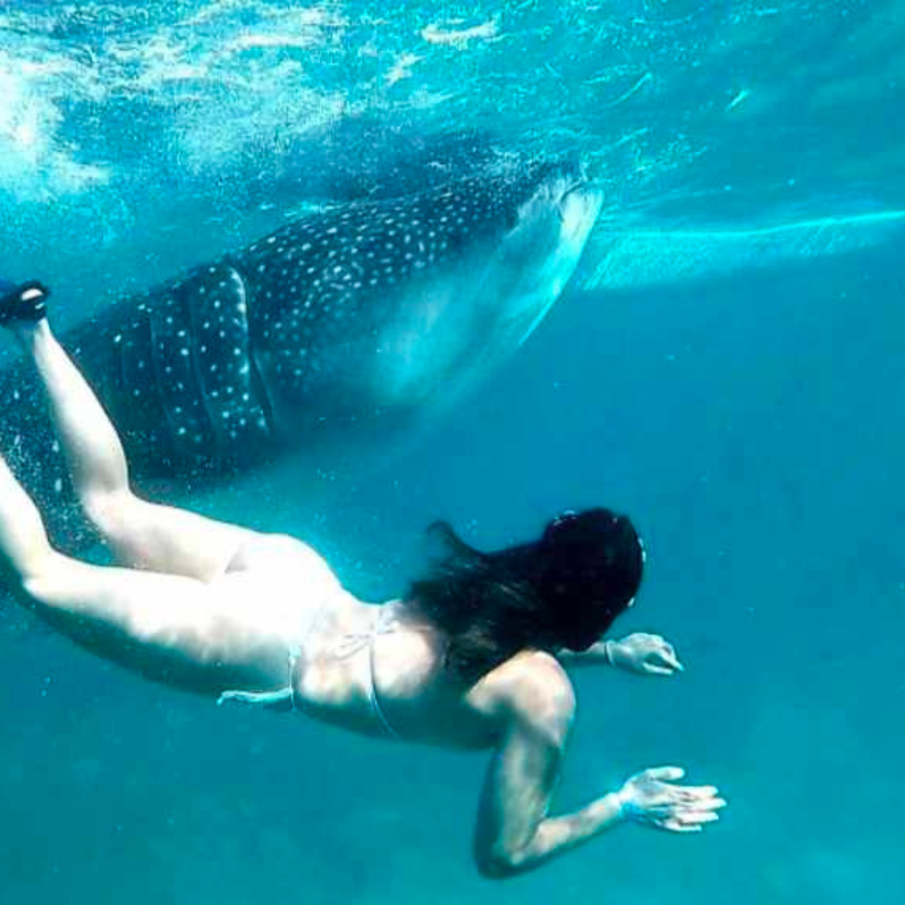 Cebu: Oslob Whale Shark, Sumilon, Ruins, Simala Church 2