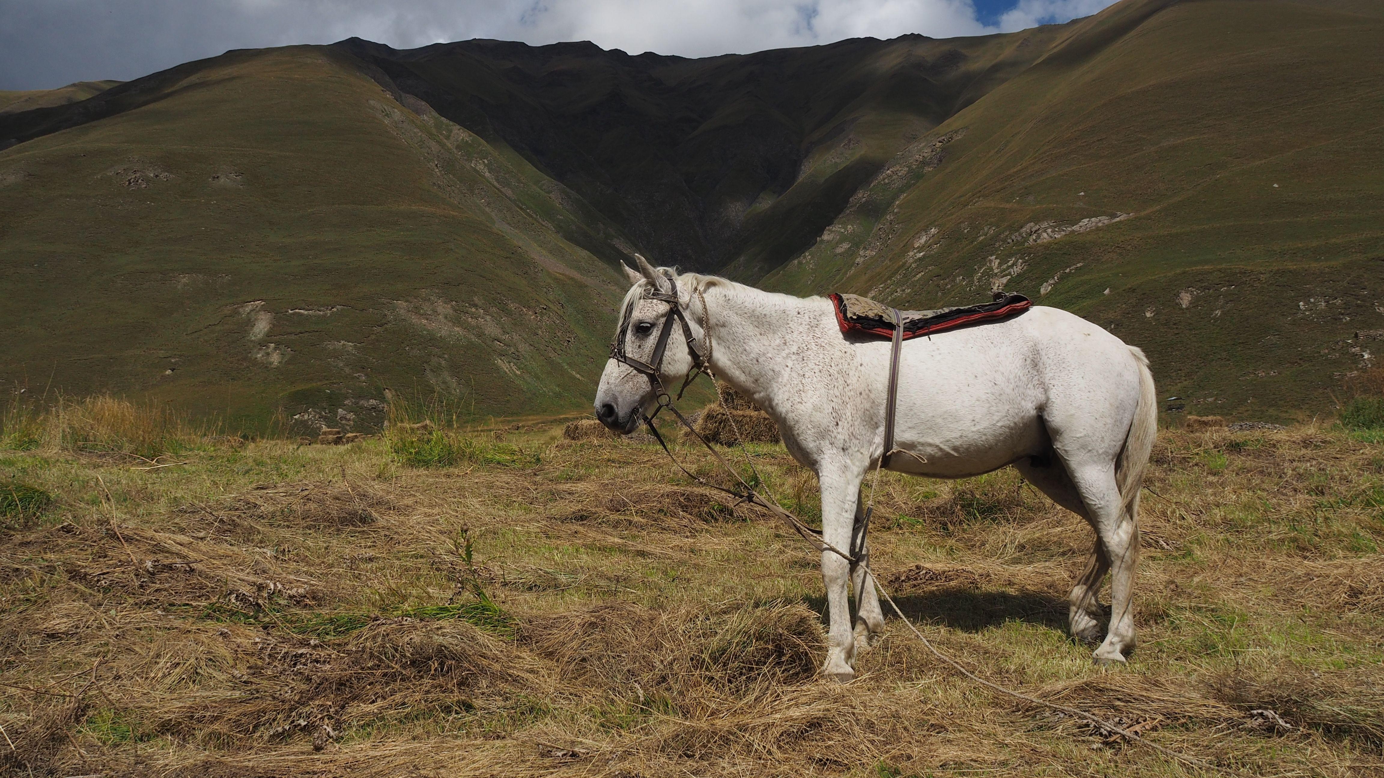Tbilisi: Kazbegi, Gudauri & Truso Valley 4x4 Adventure 3
