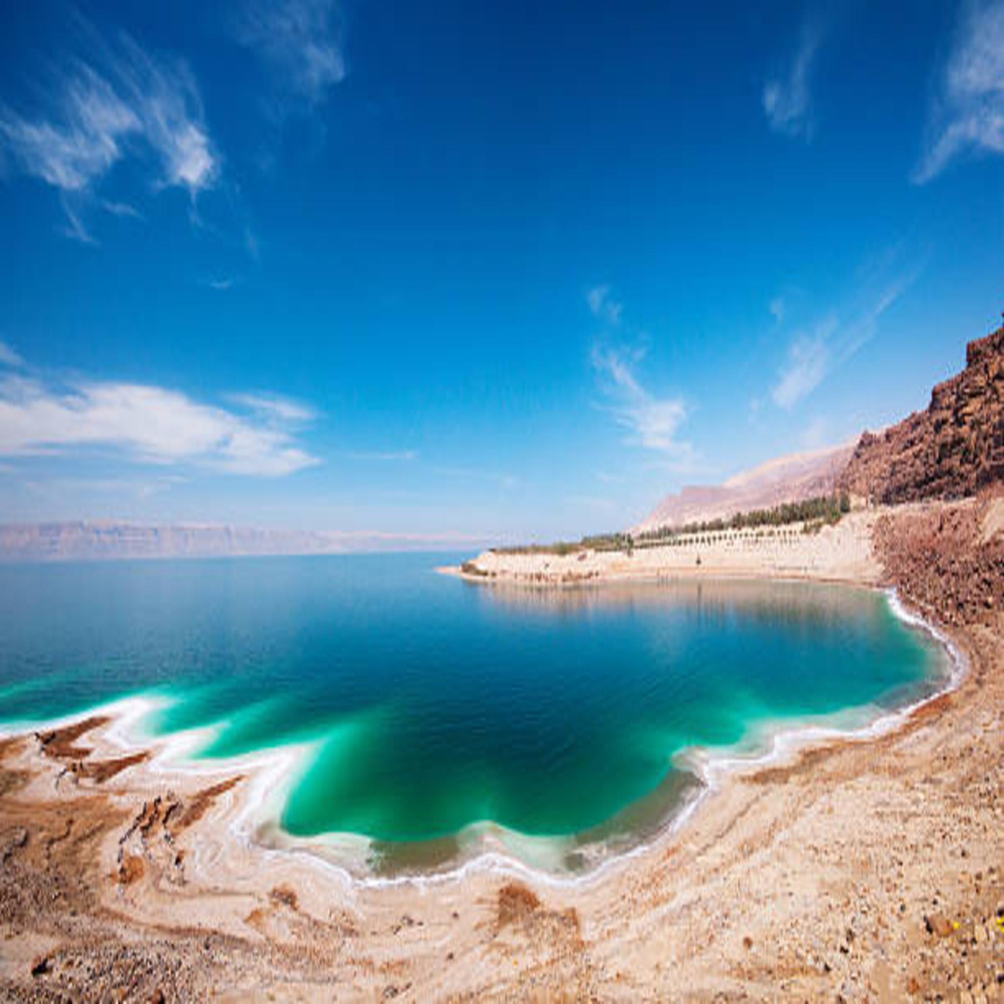 Explore Dead Sea on a Full-Day Tour from Amman with Lunch