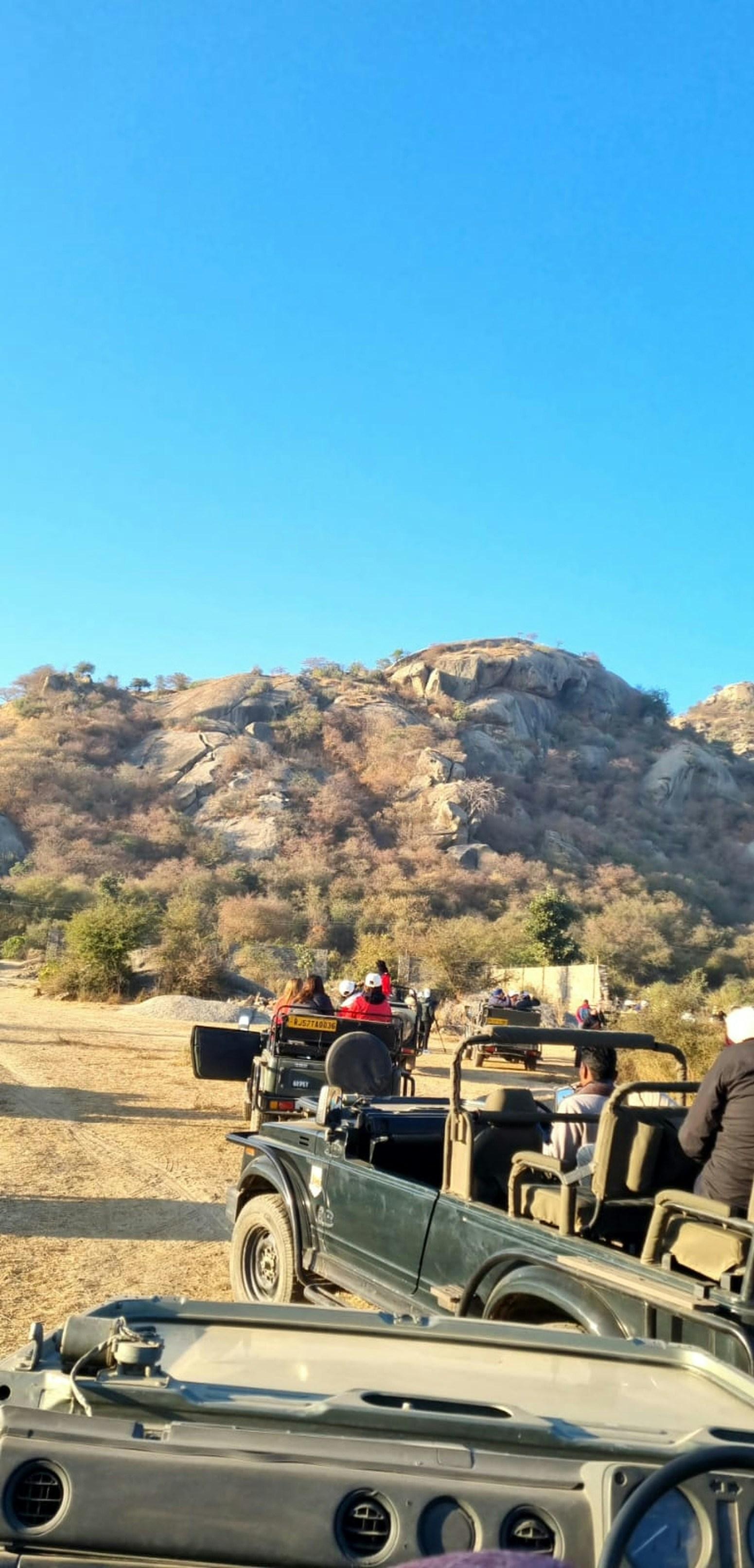 From Jaipur: 2-Day Ranthambore National Park Safari Tour 3