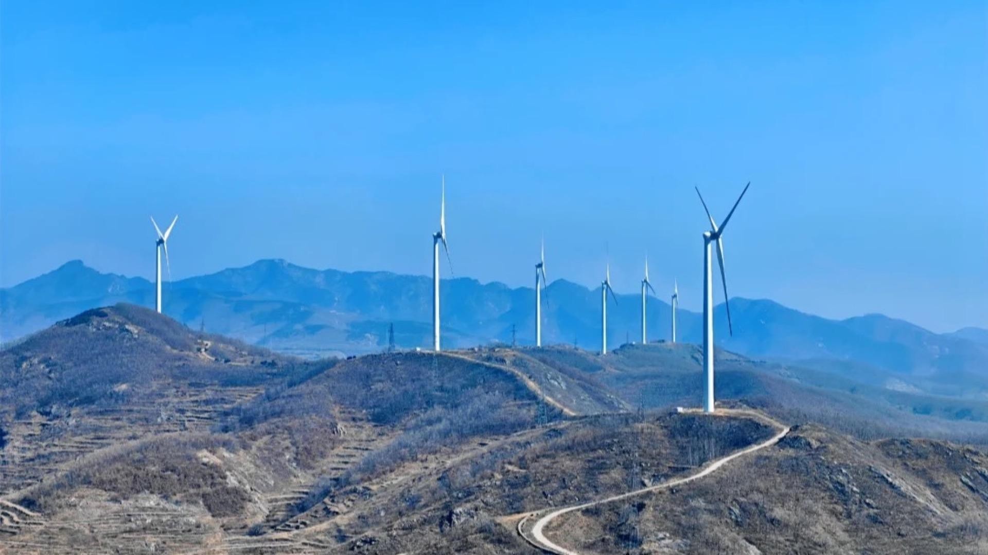 Shanghai: Biyan Temple & Windmill Ridge Private Day Trip 3