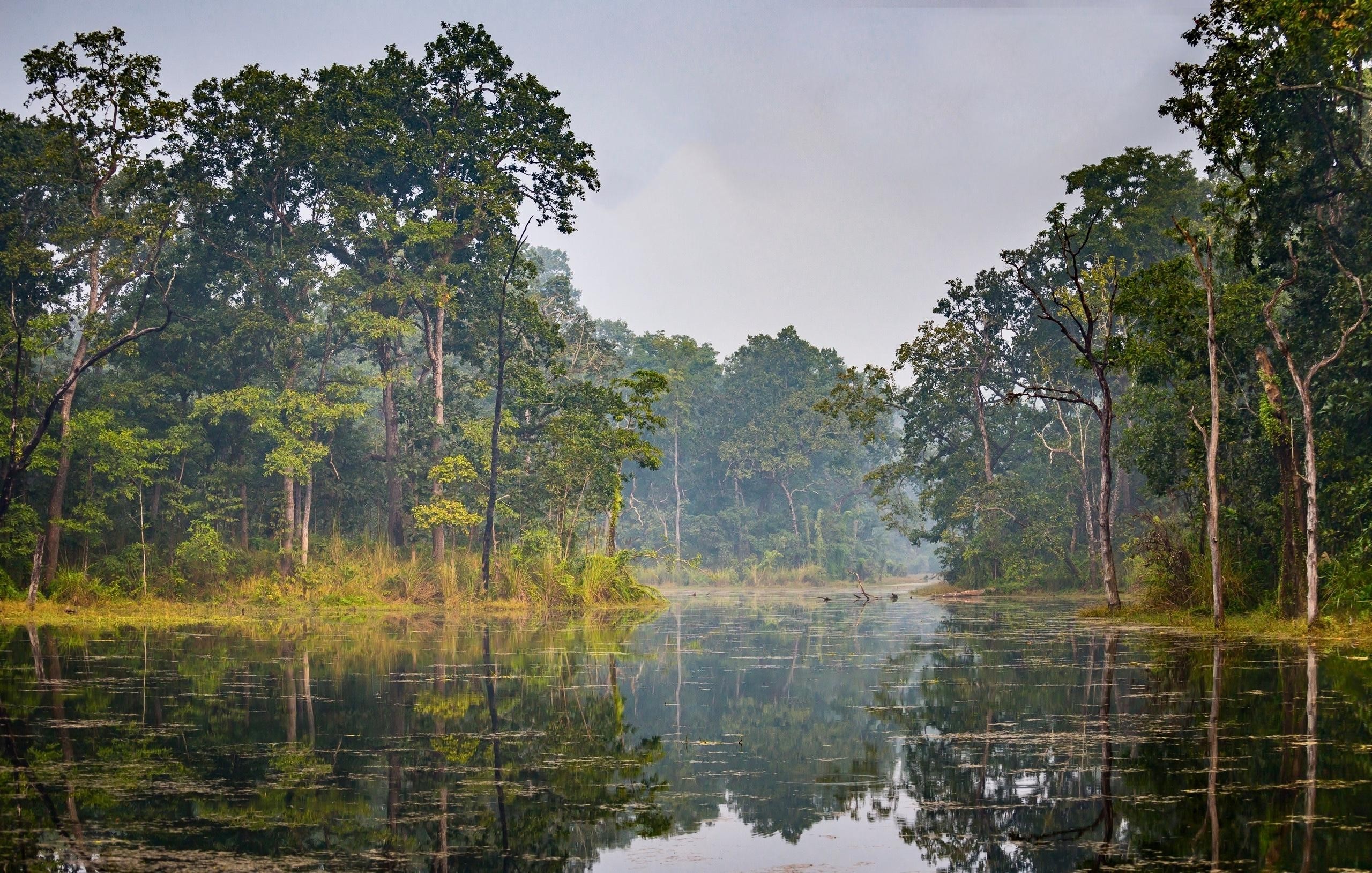 3 Nights 4 Days: Chitwan National Park with Tower Night Stay 3