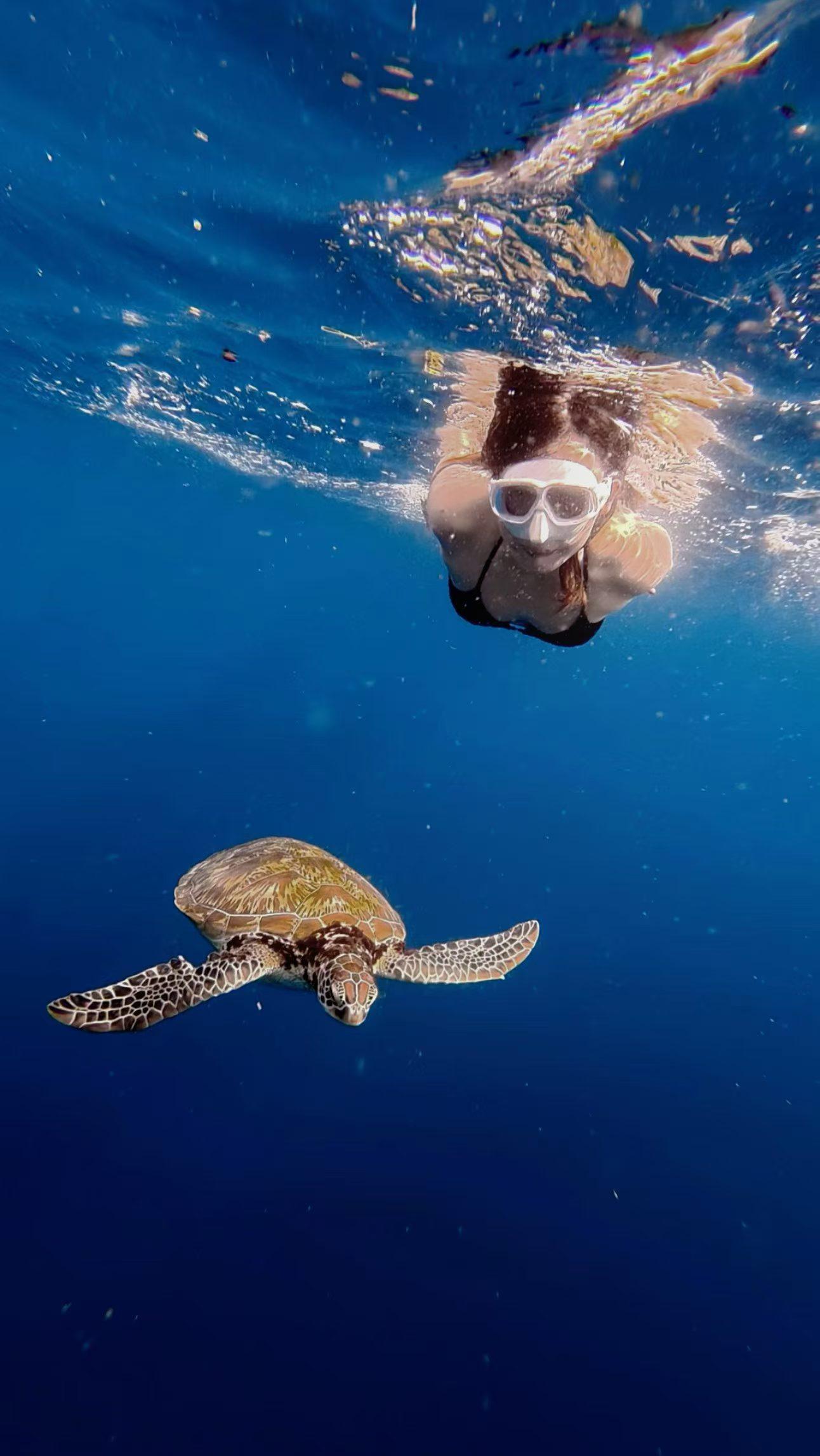 From Panglao: Balicasag Island Snorkel & Dolphin Search Tour 2