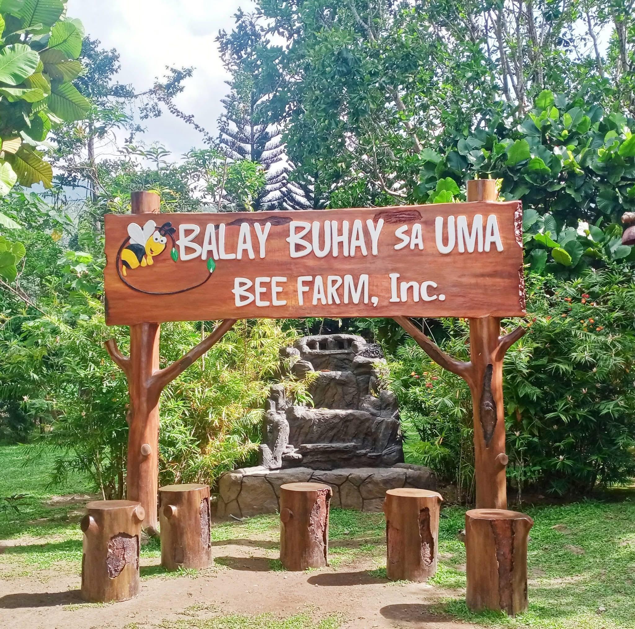 Sorsogon: Full-Day Tour with Museum, Lake, and Bee Farm 3