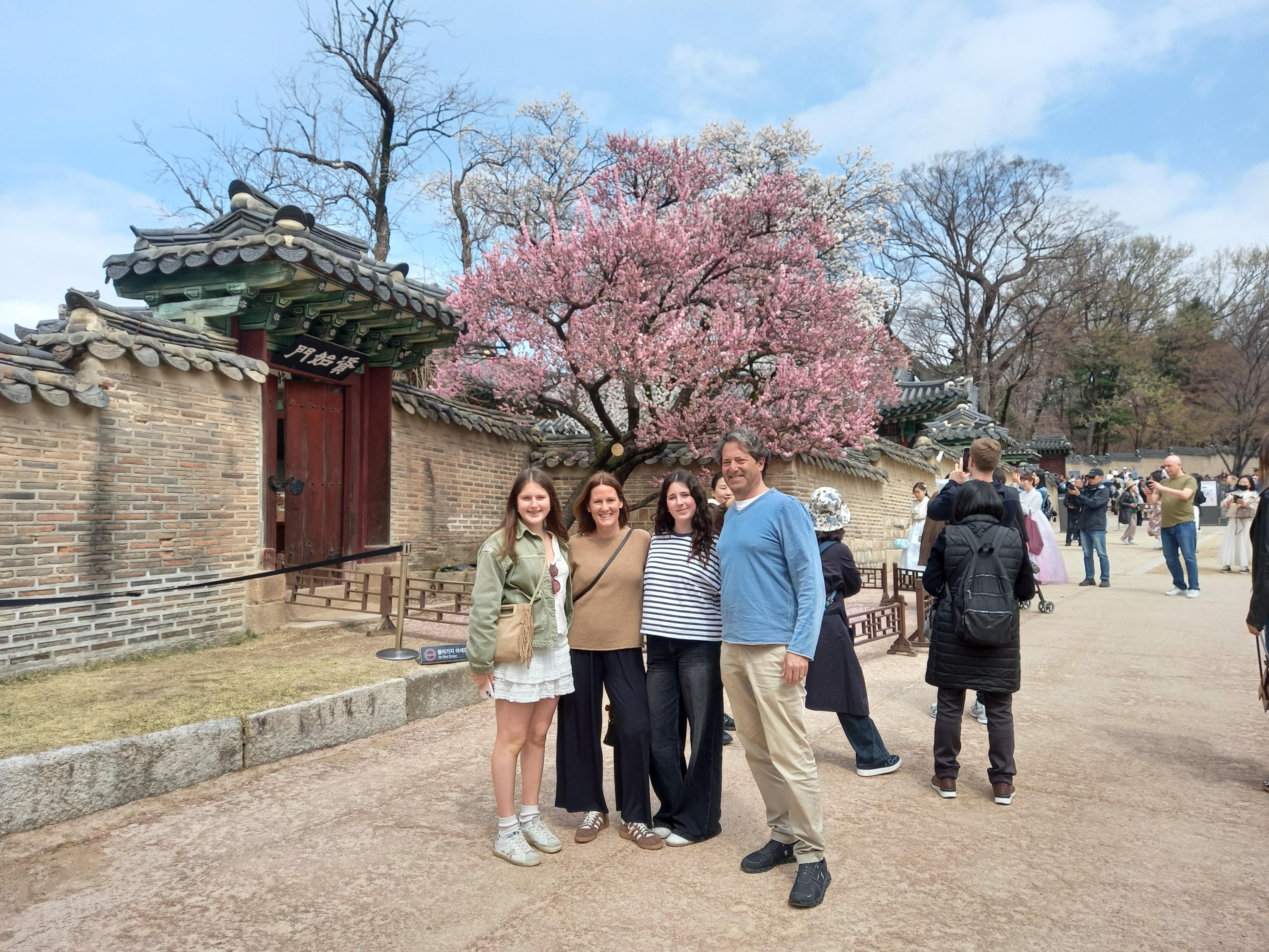 Seoul: Full-Day Guided Tour to Changdeokgung, Bukchon & More 3