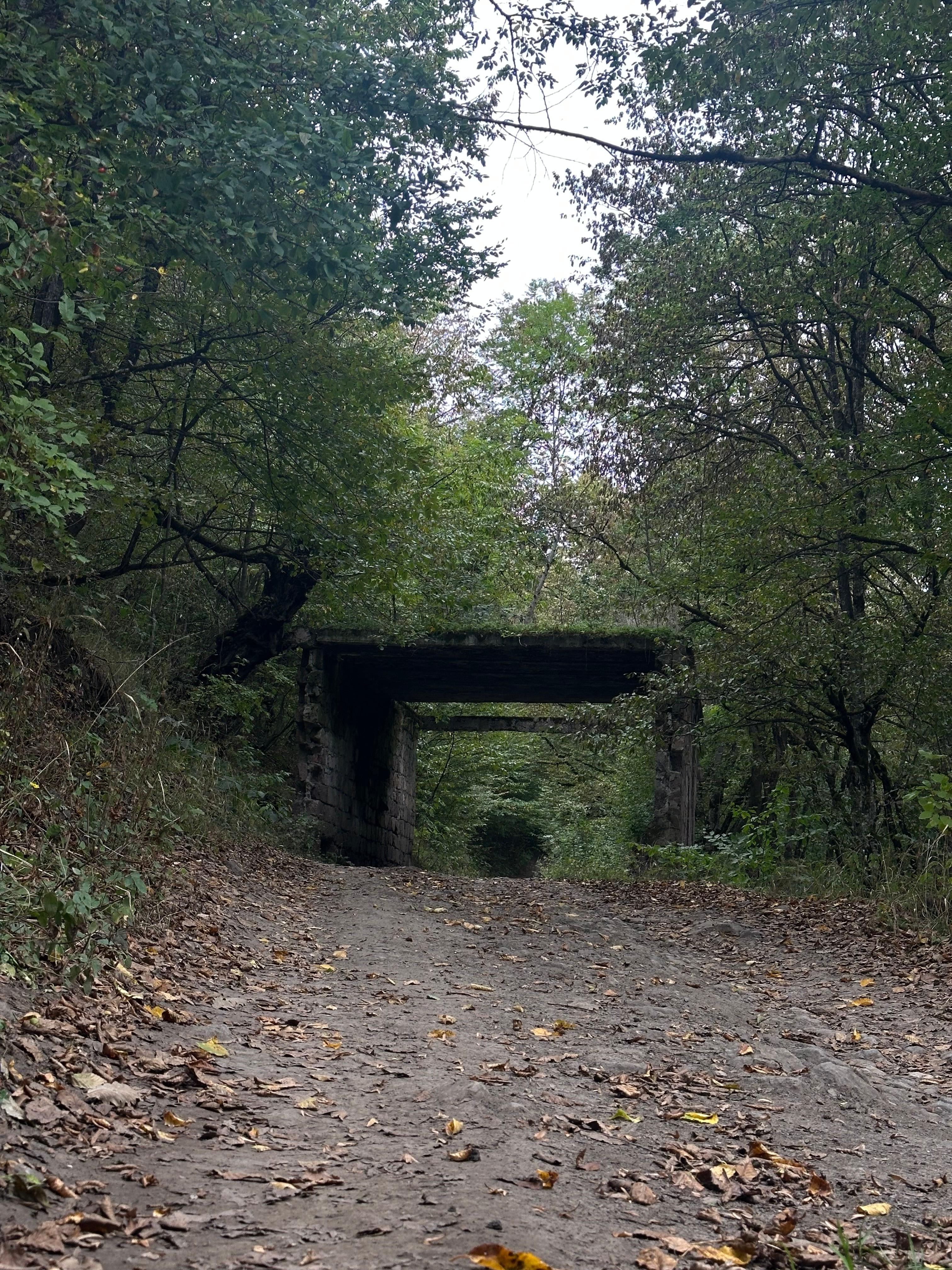 From Yerevan: Tavush Region and Mount Dimats Day Trip 3