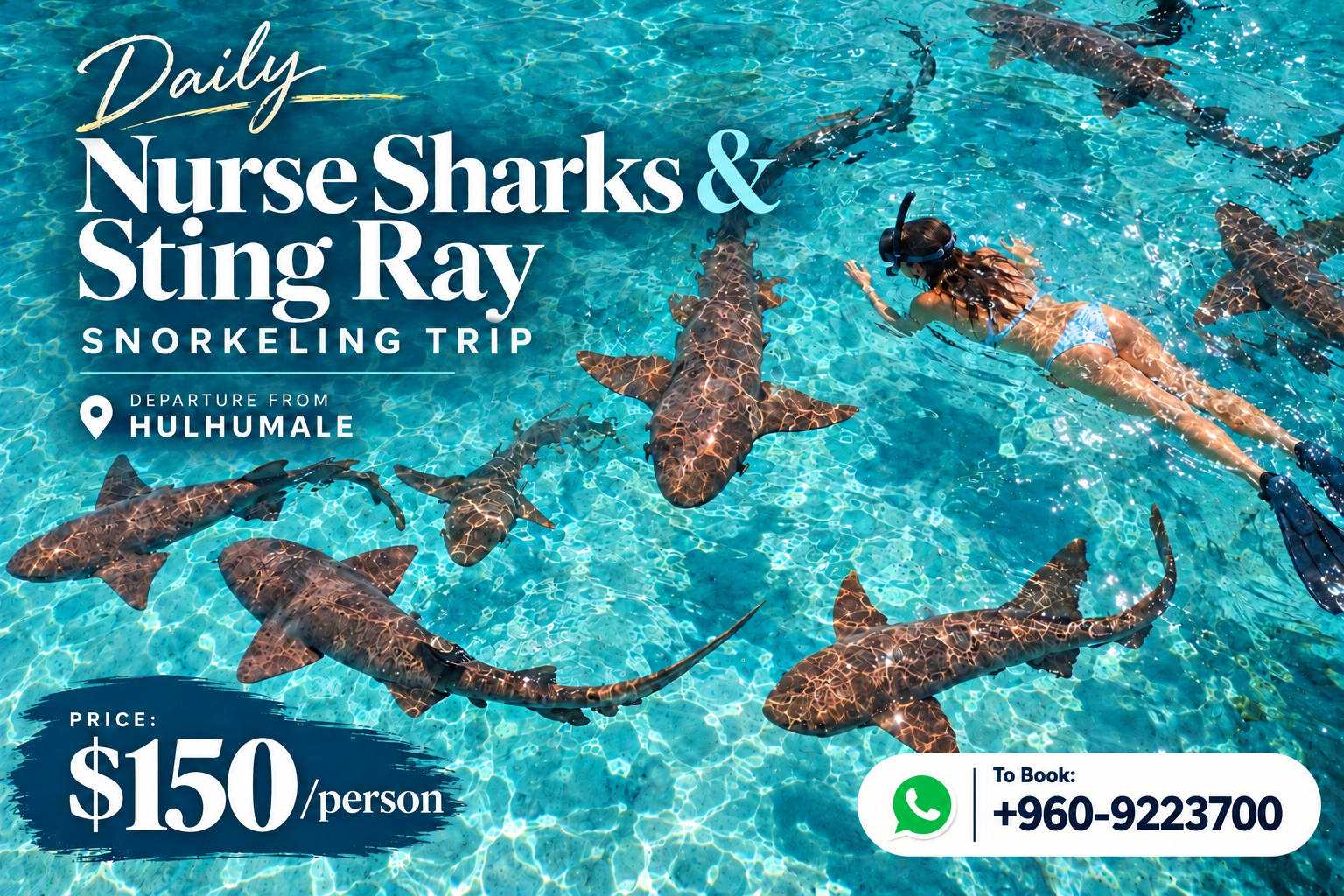 From Hulhumalé: Nurse Shark & Stingray Snorkeling Tour 3