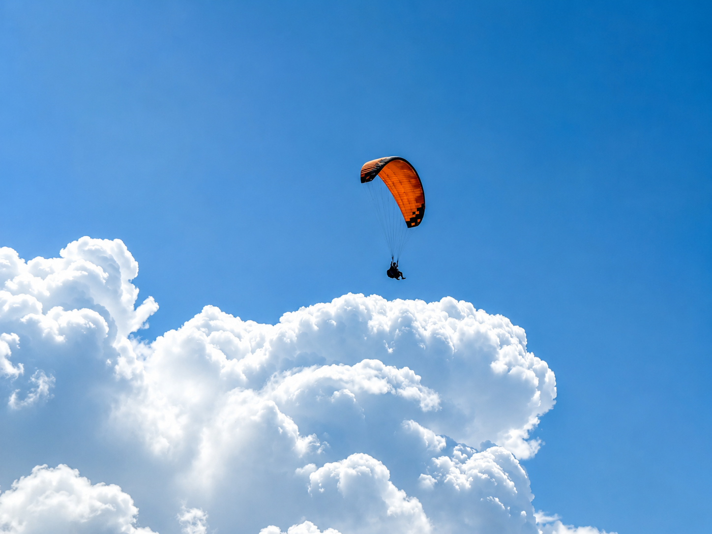 Almaty: 3 Tandem Paragliding Options over Almaty Mountains 2