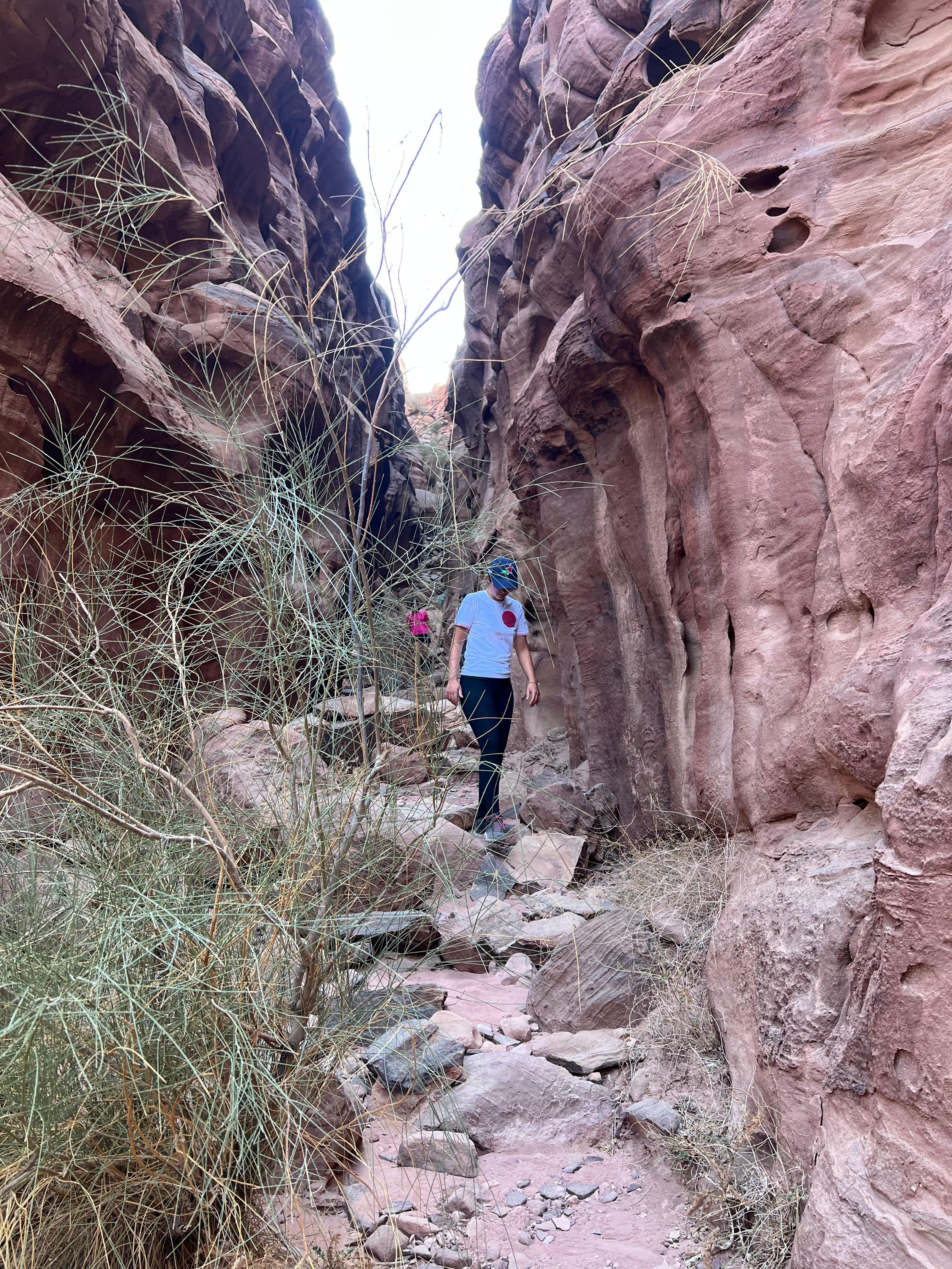 Wadi Rum: Full-Day Tour with 2 Bedouin Guides & Camp Stay 3