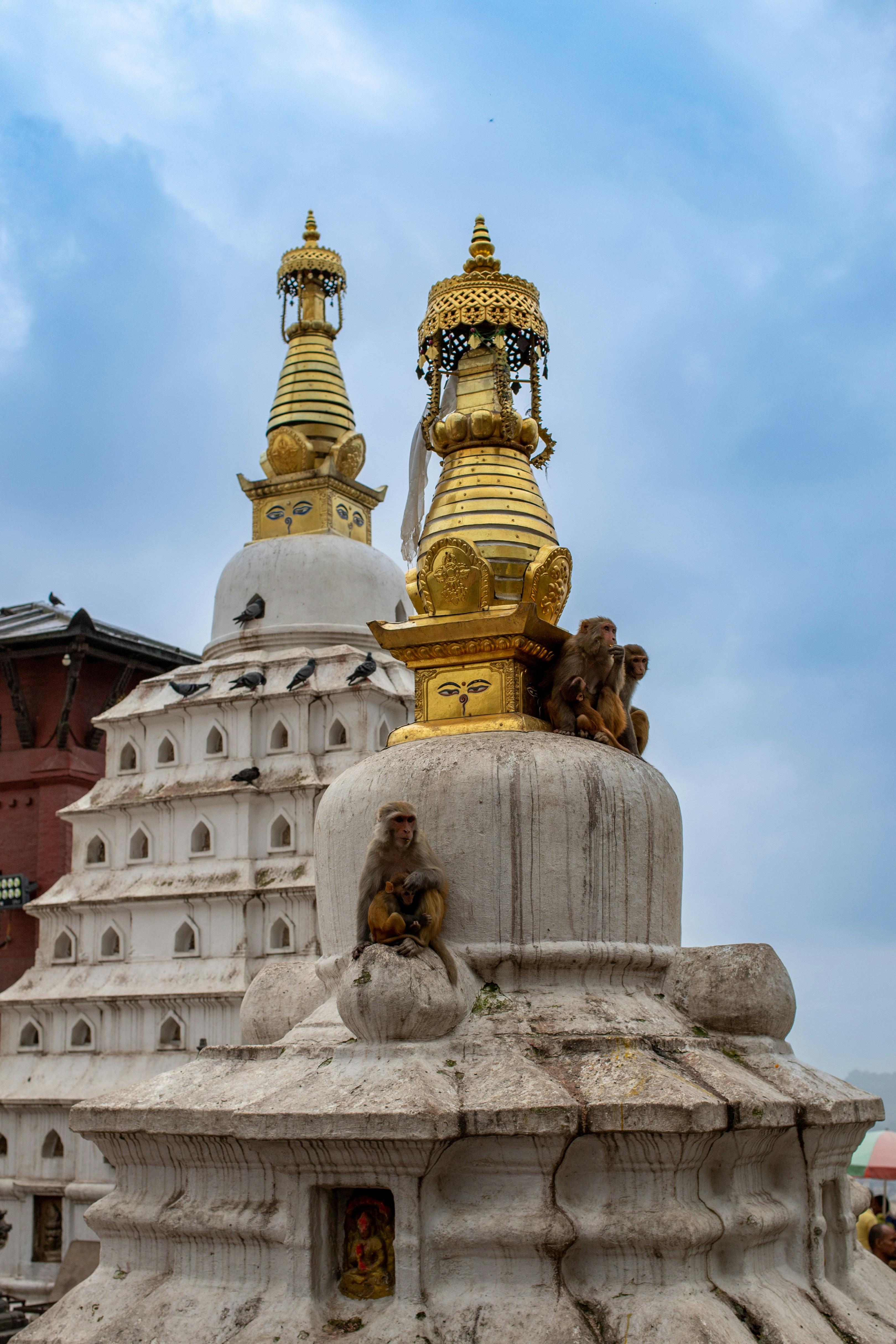 Kathmandu: Half-Day Chaitya Walk Guided Tour 3
