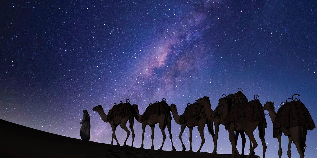 Doha: Inland Sea Desert Safari with Night Stargazing Option 2
