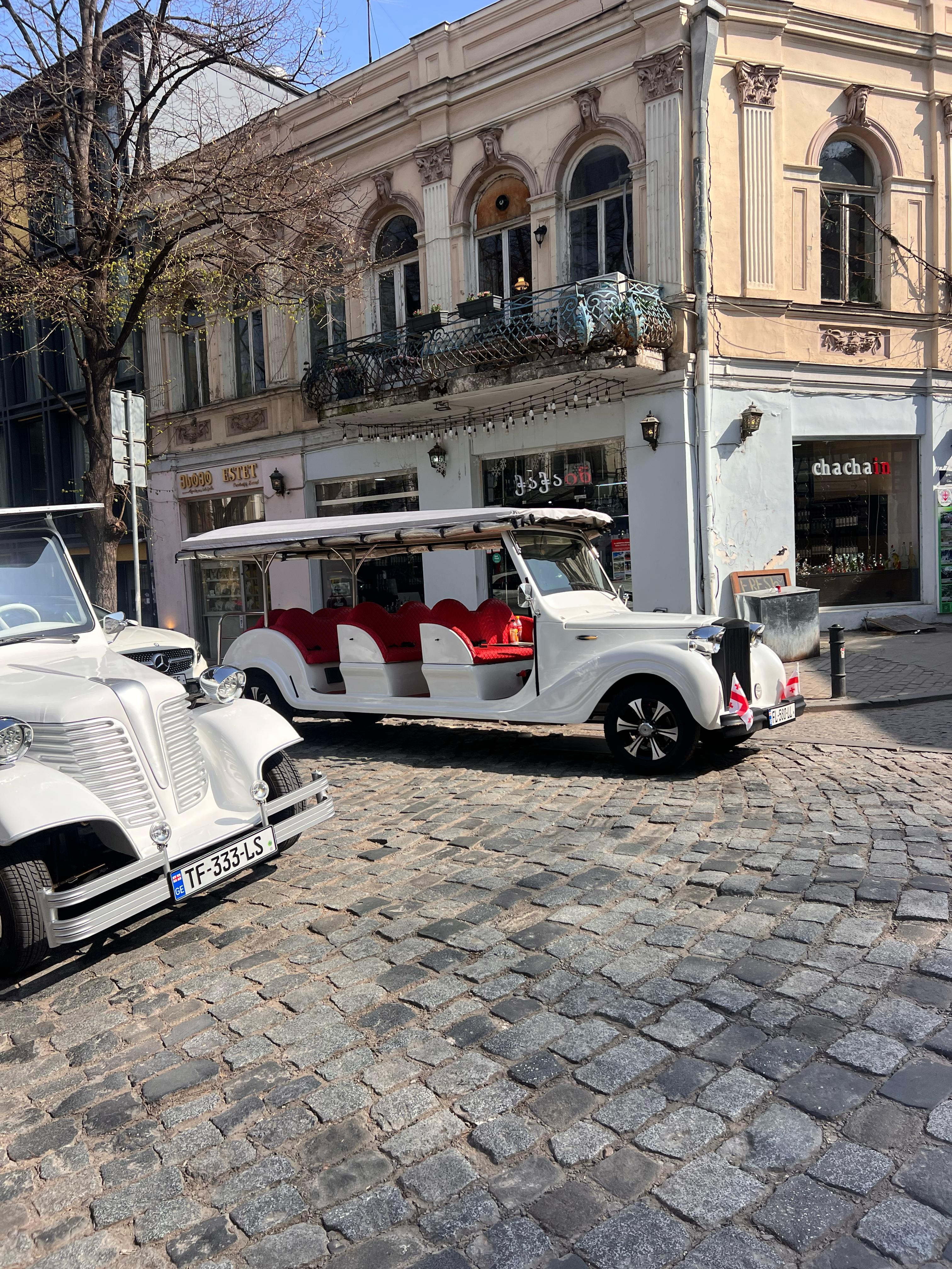 Tbilisi: Electric Bus and Boat Tour 2