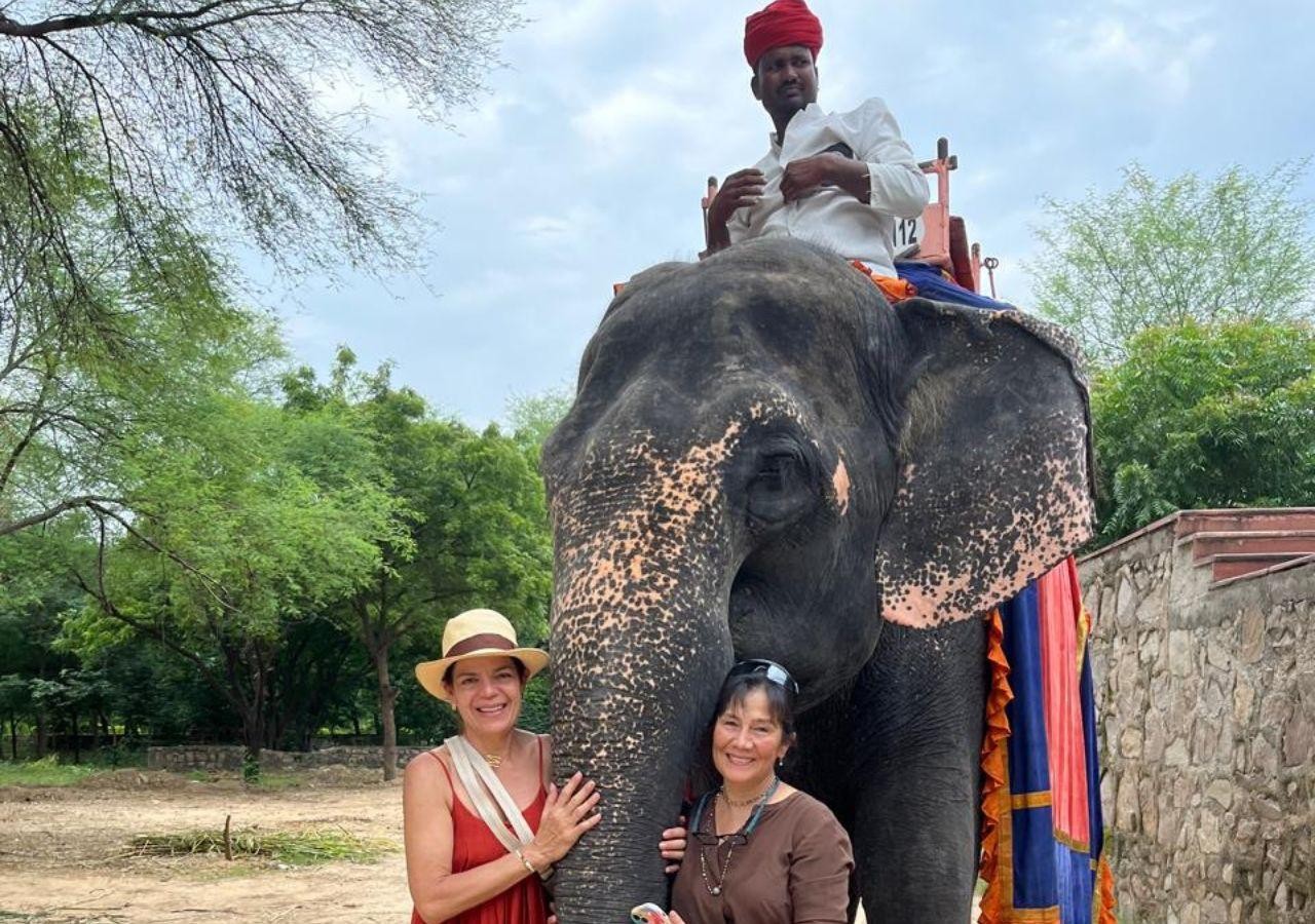 Jaipur : Full day Jaipur City Tour and Transfer Delhi 3