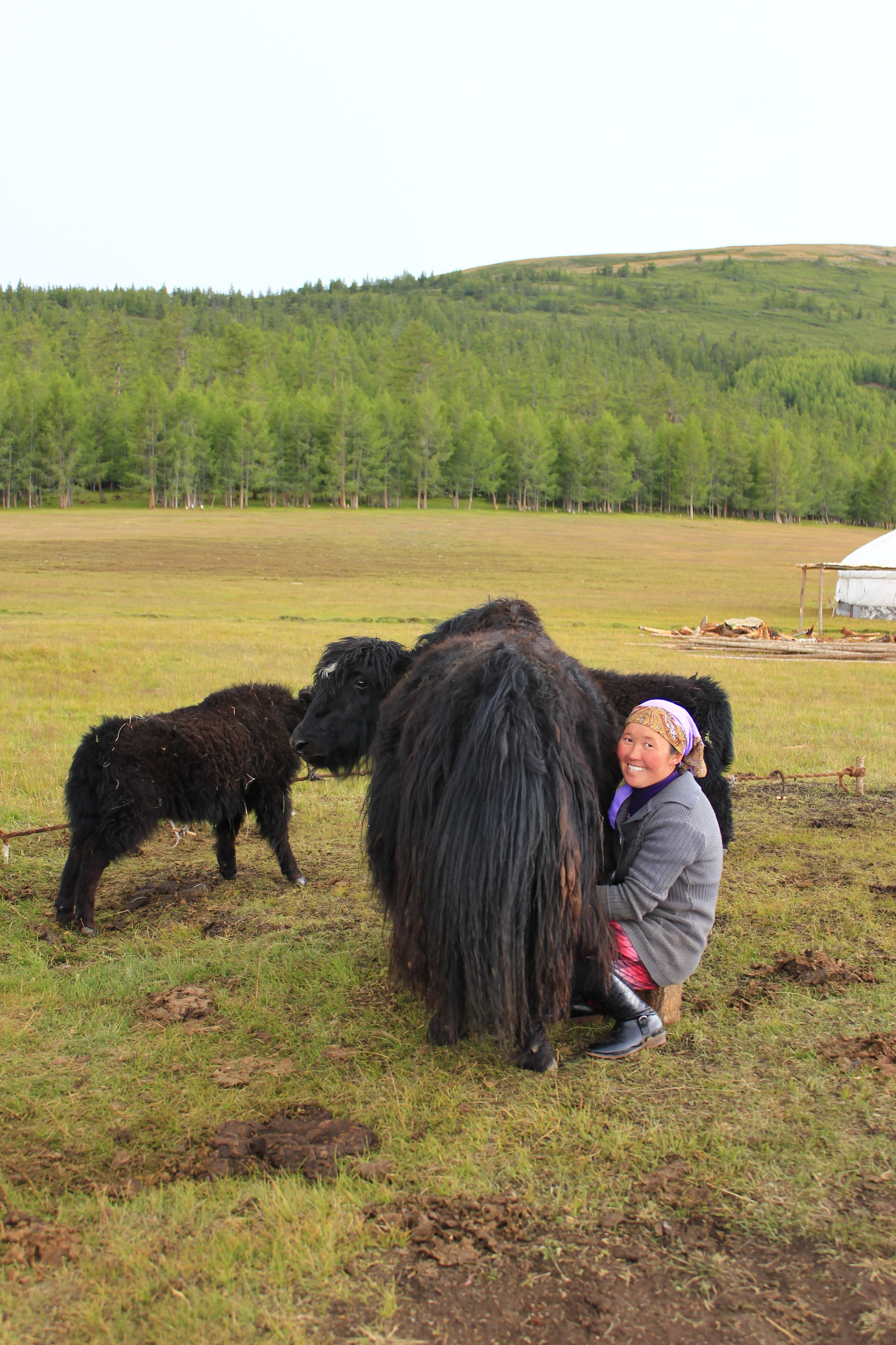 Terelj Day Tour with Lunch, horse riding & More... 3