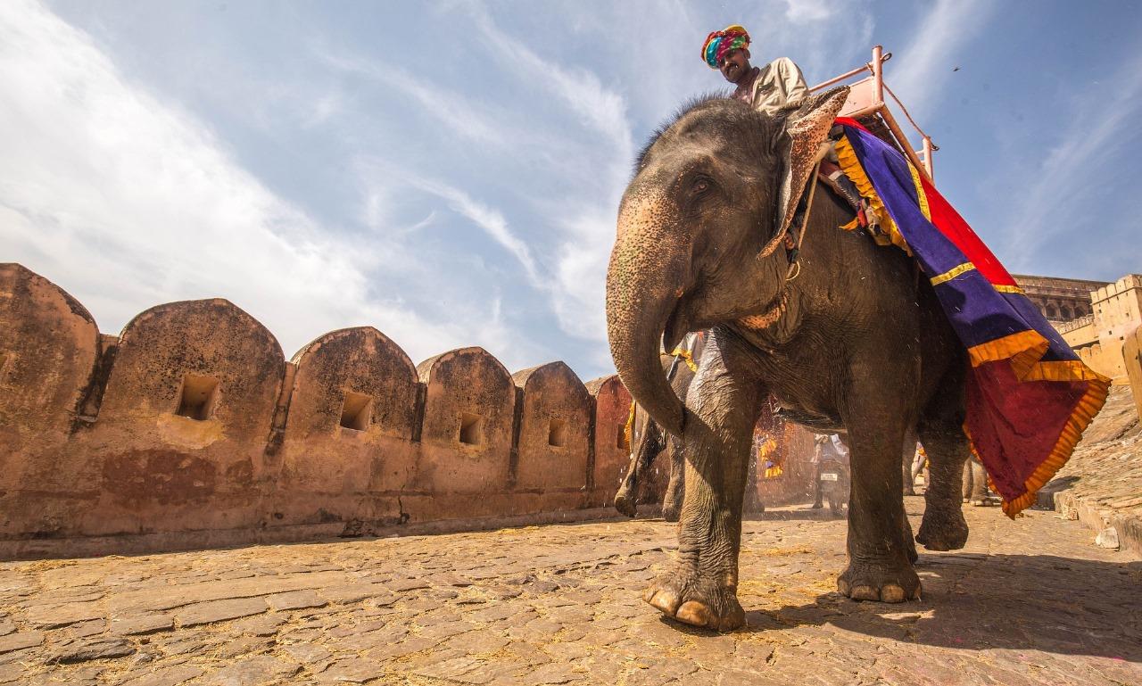 Jaipur:Amer Fort,Panna Meena(Stepwell) & Nahargarh Fort Tour 2