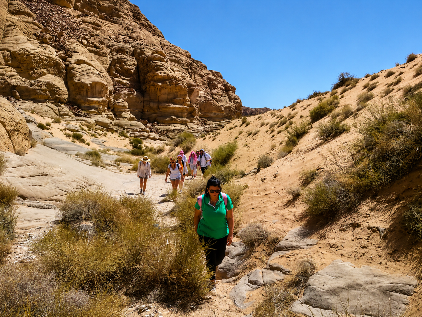 Umm Ad Dami Hike, Jeep Tour, Bedouin Dinner & Wild camping 3