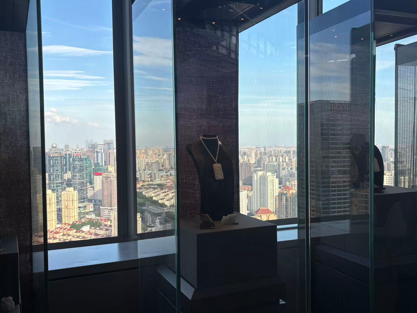Shanghai CBD: Private Museum & Highest Bookstore Tour