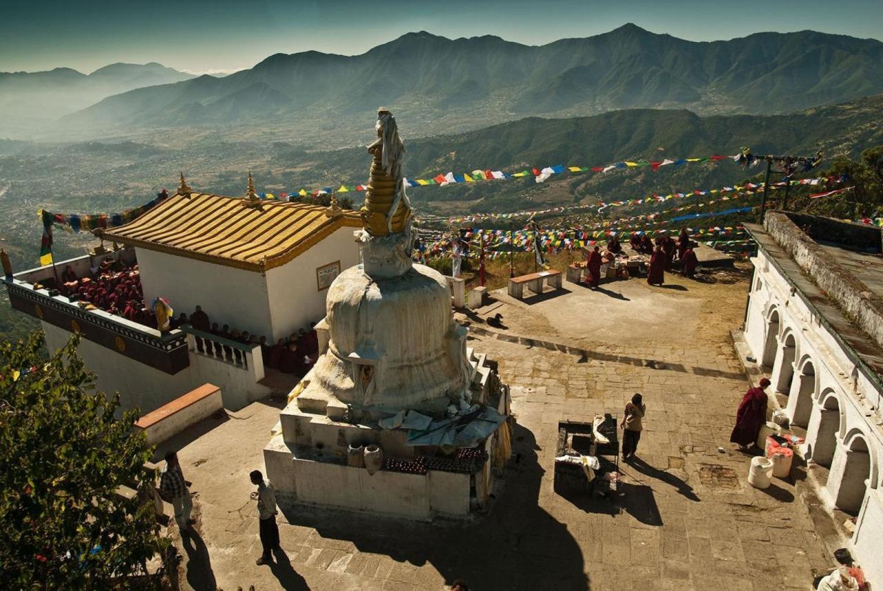 Hidden Forest Awakening: Kathmandu Valley Sunrise & Wildlife