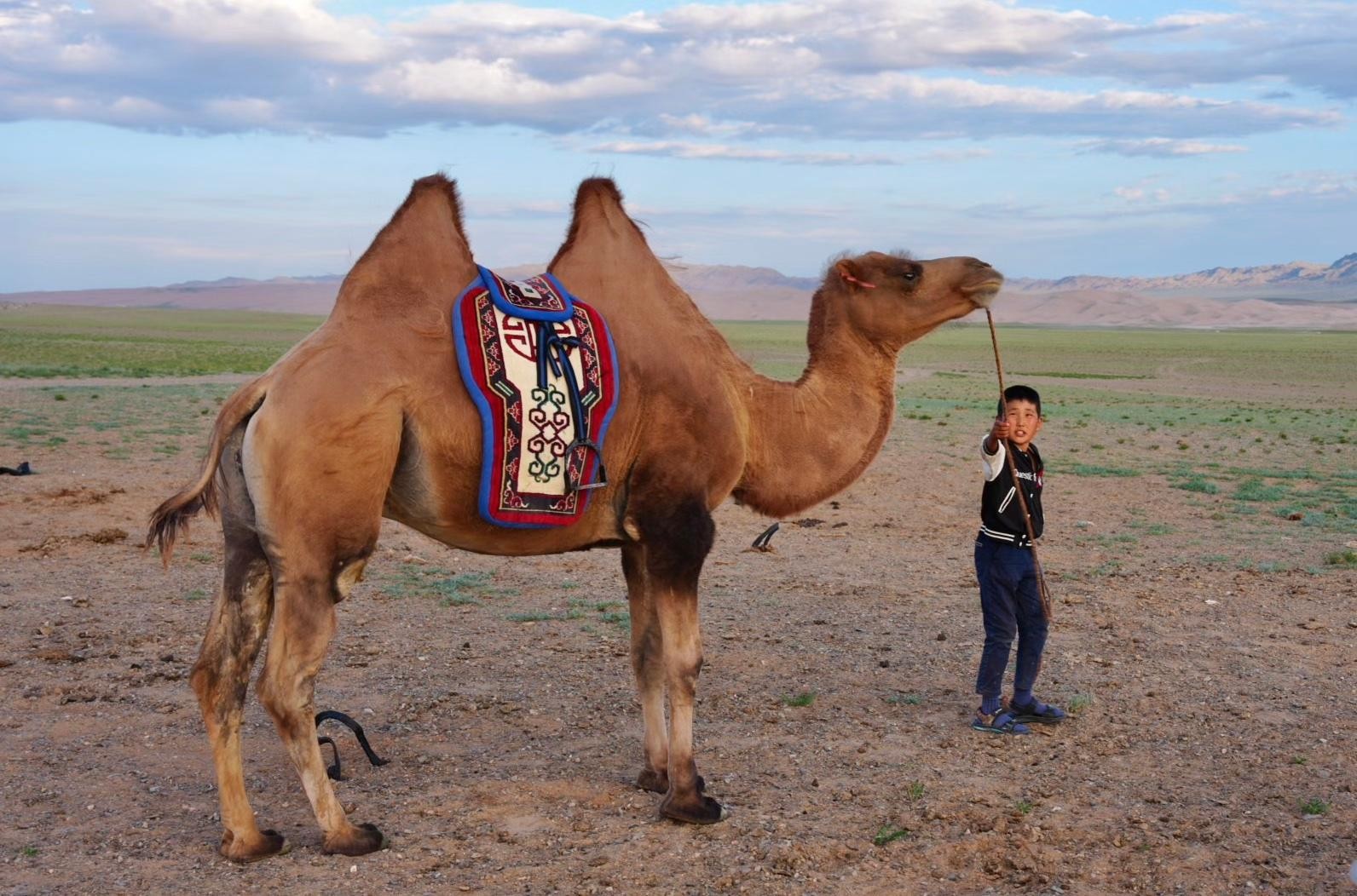 2-Day Kharkhorin Town, Granite Mountain, and Sand Dunes 3