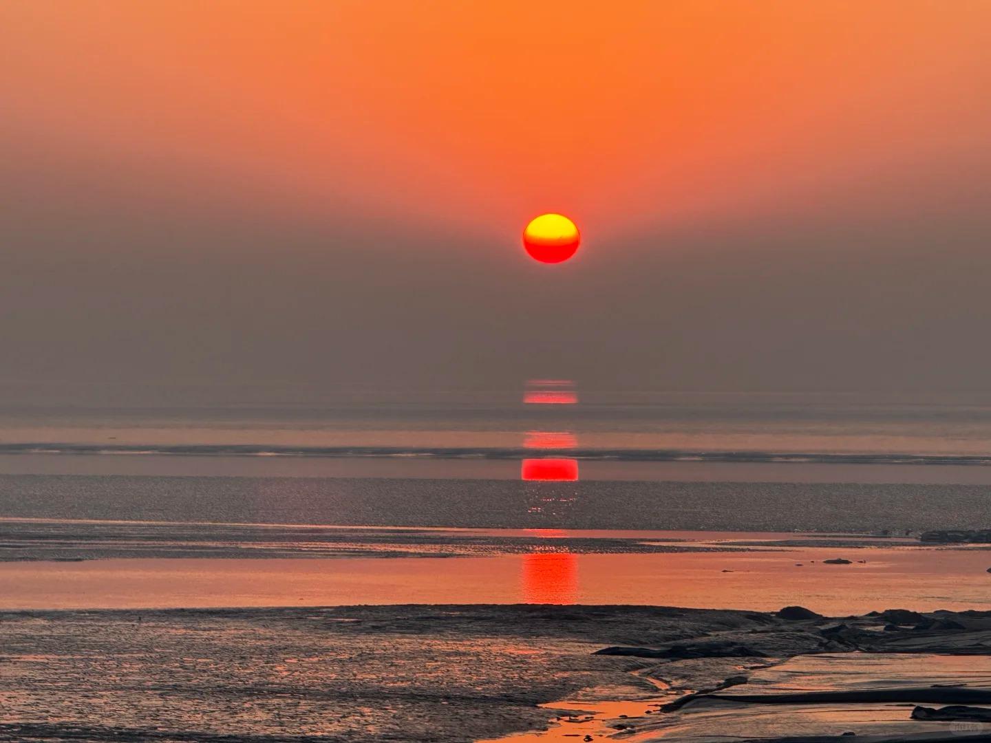Rare Birdwatching Trip: Chongming & Tiaozini Wetlands