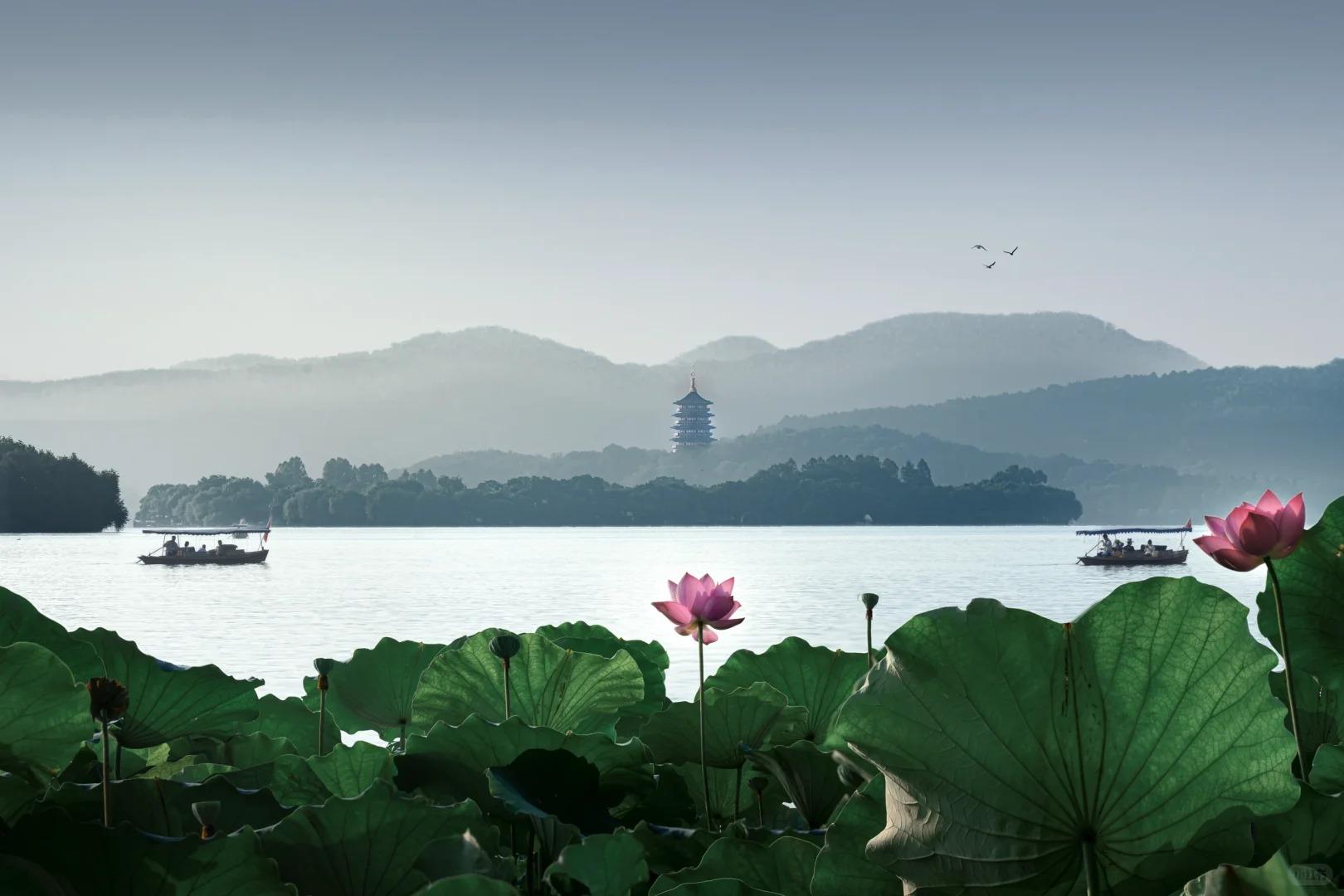 From Shanghai: Hangzhou & Wuzhen: 3-Day Private Tour 2