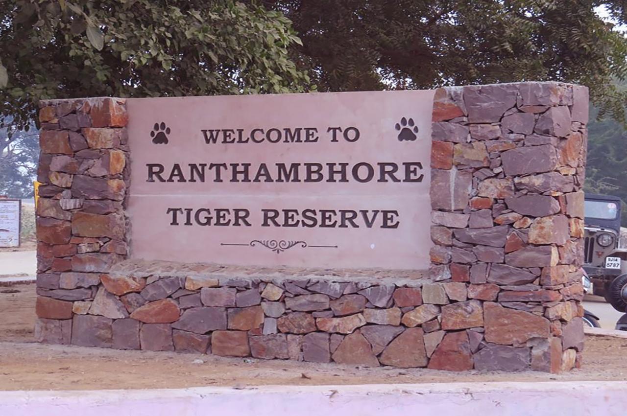 From Jaipur: private ranthambore tour by car 2