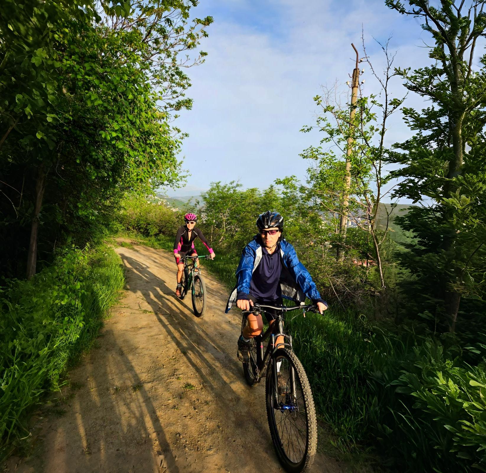 Tbilisi Private Bike Tour: Peace Bridge, Old Town & Sameba 3