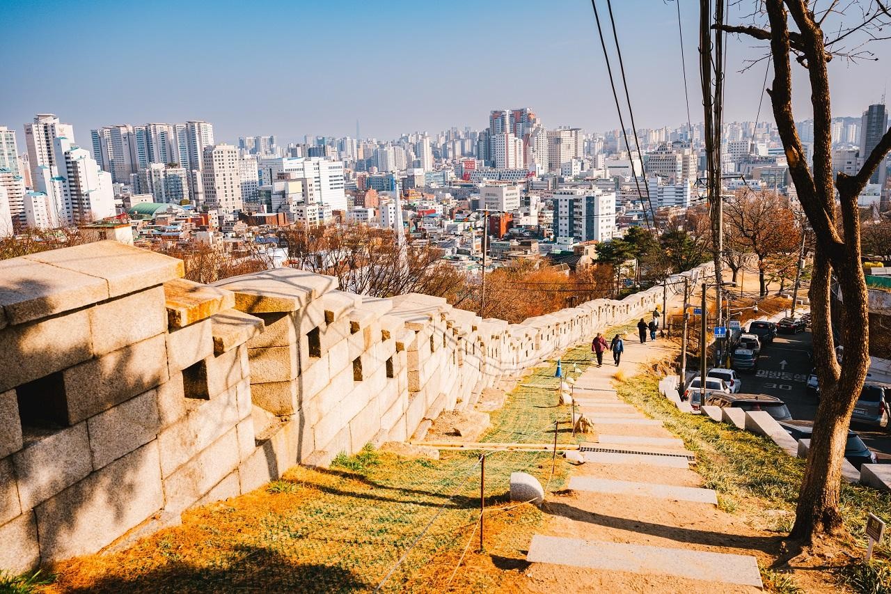 Seoul: Herbal Wellness, Street Food & Hidden Local Culture 3