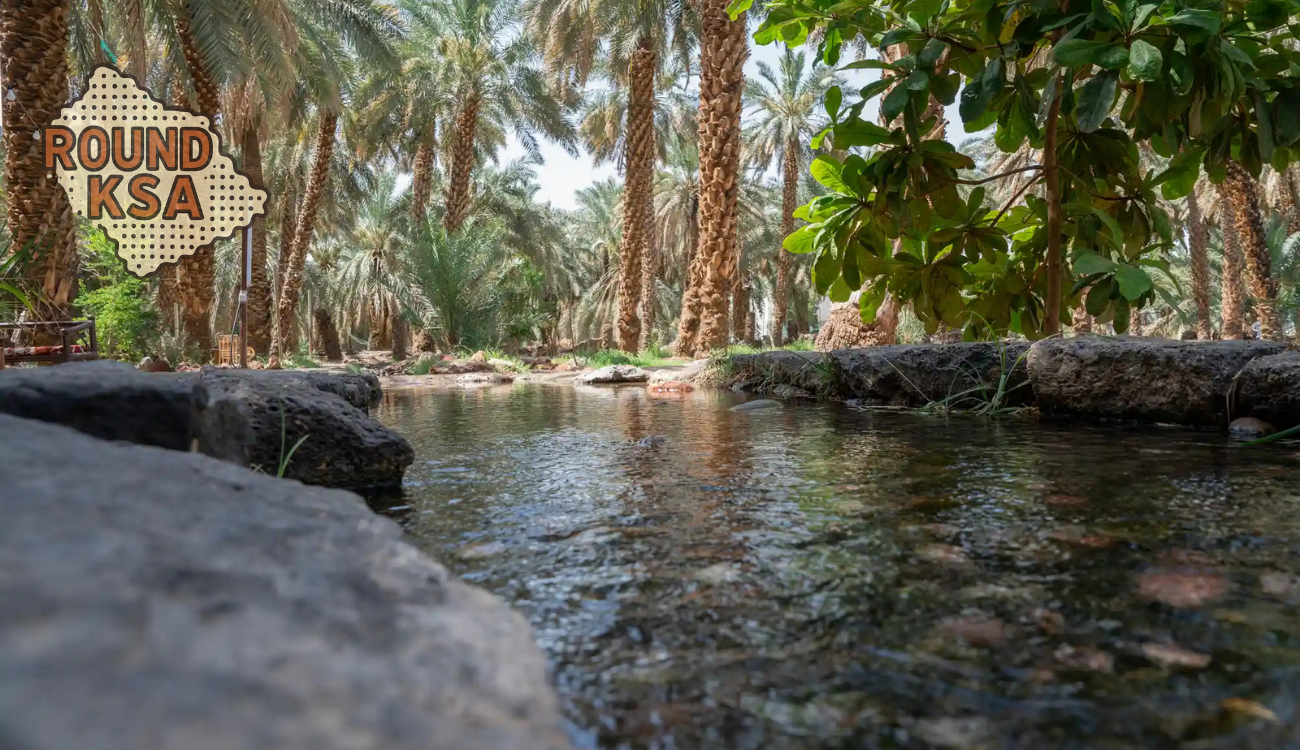 Madinah: 2-Day Private Eid Stay with Farm Hospitality 3