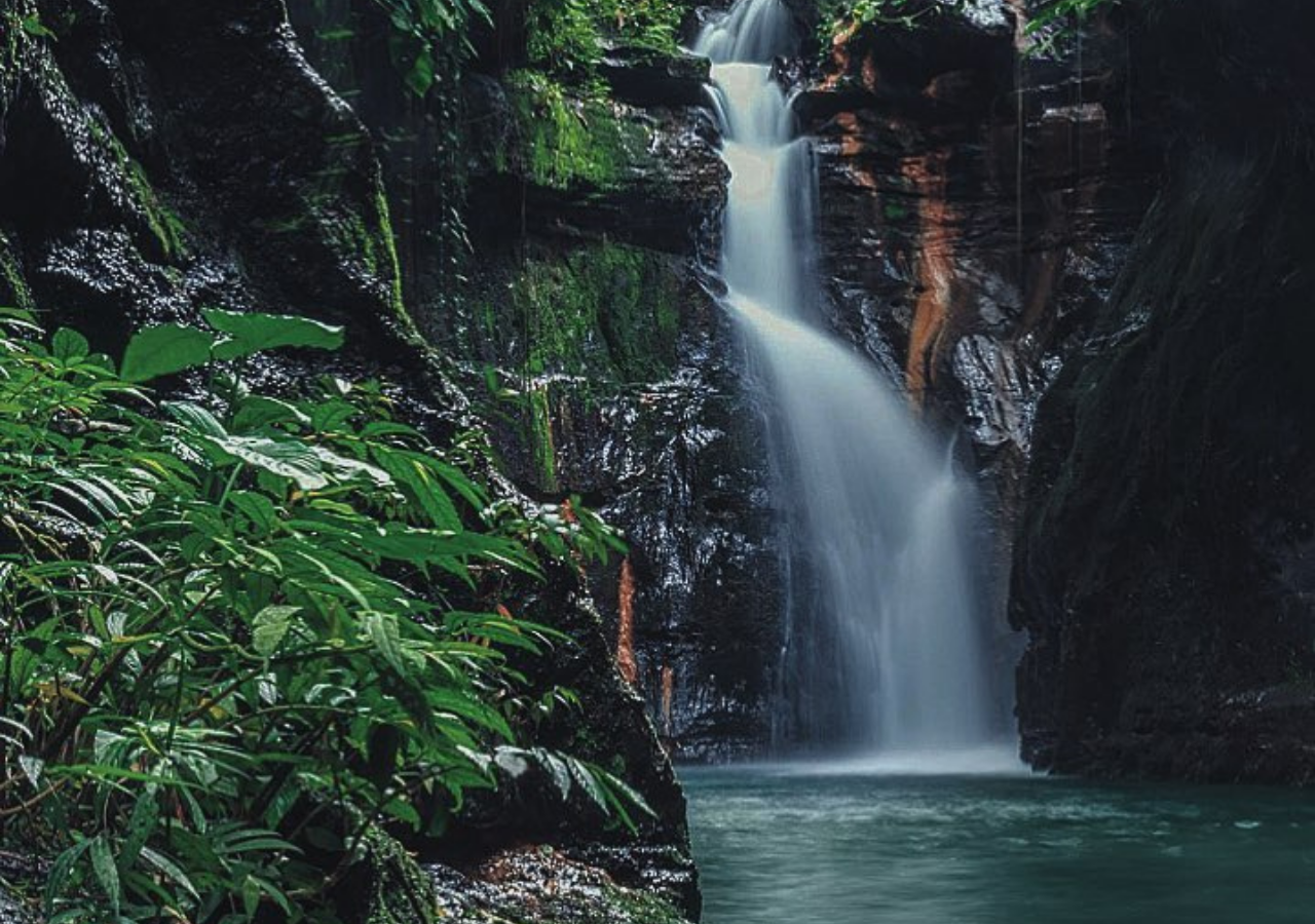 Manila: Hidden Valley Springs Day Tour with Lunch