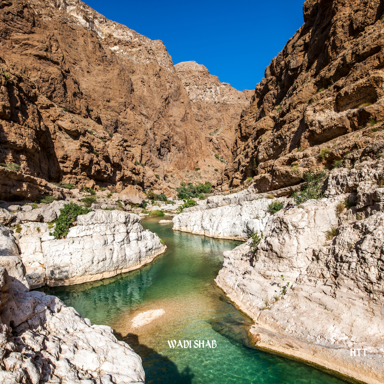 From Muscat: 2-Day Wadi Shab, Ras Al Jinz, Wahiba Sands Tour 3